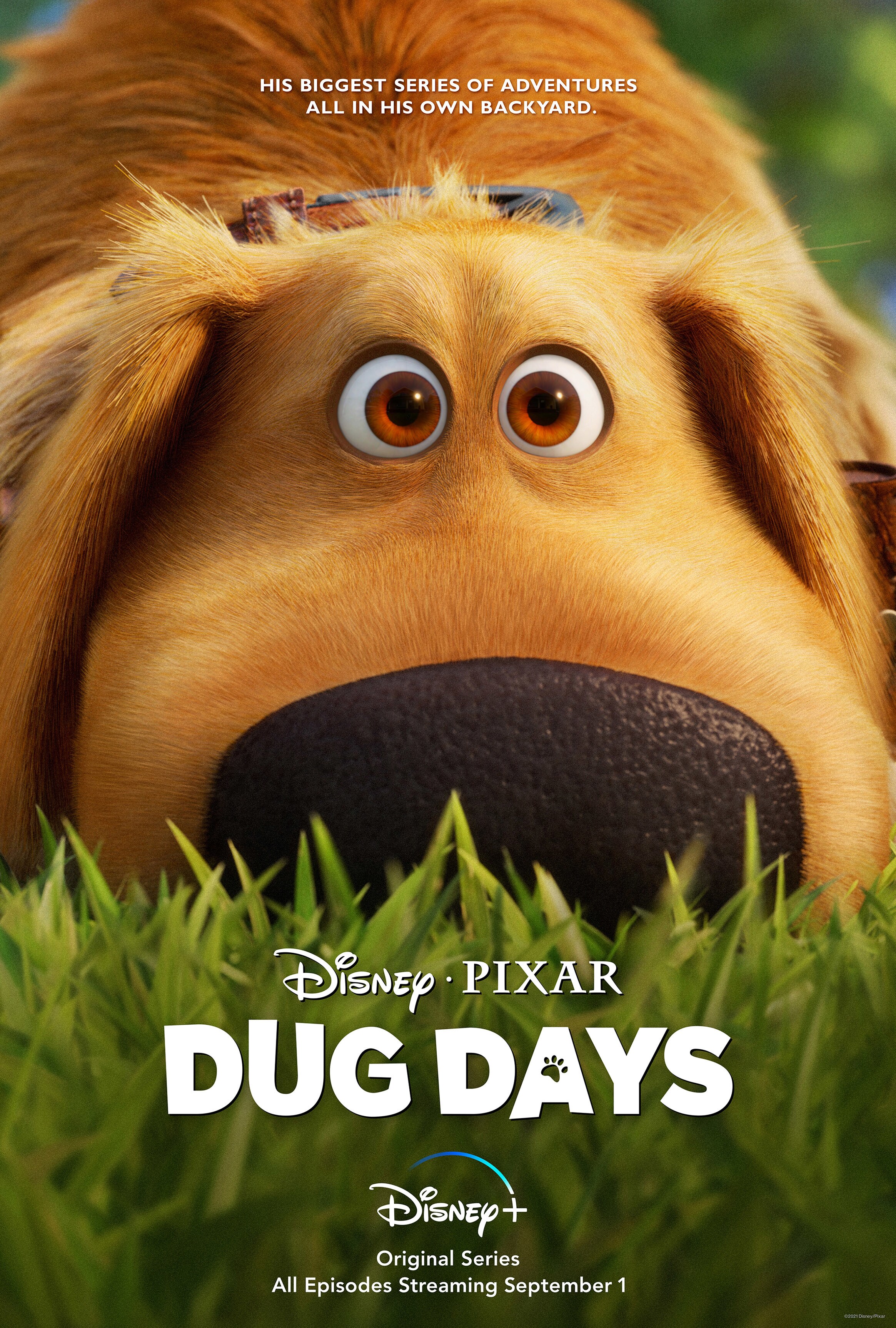 Disney+ Releases New Trailer And Key Art For Pixar Animation Studios' “Dug  Days” Premiering September 1