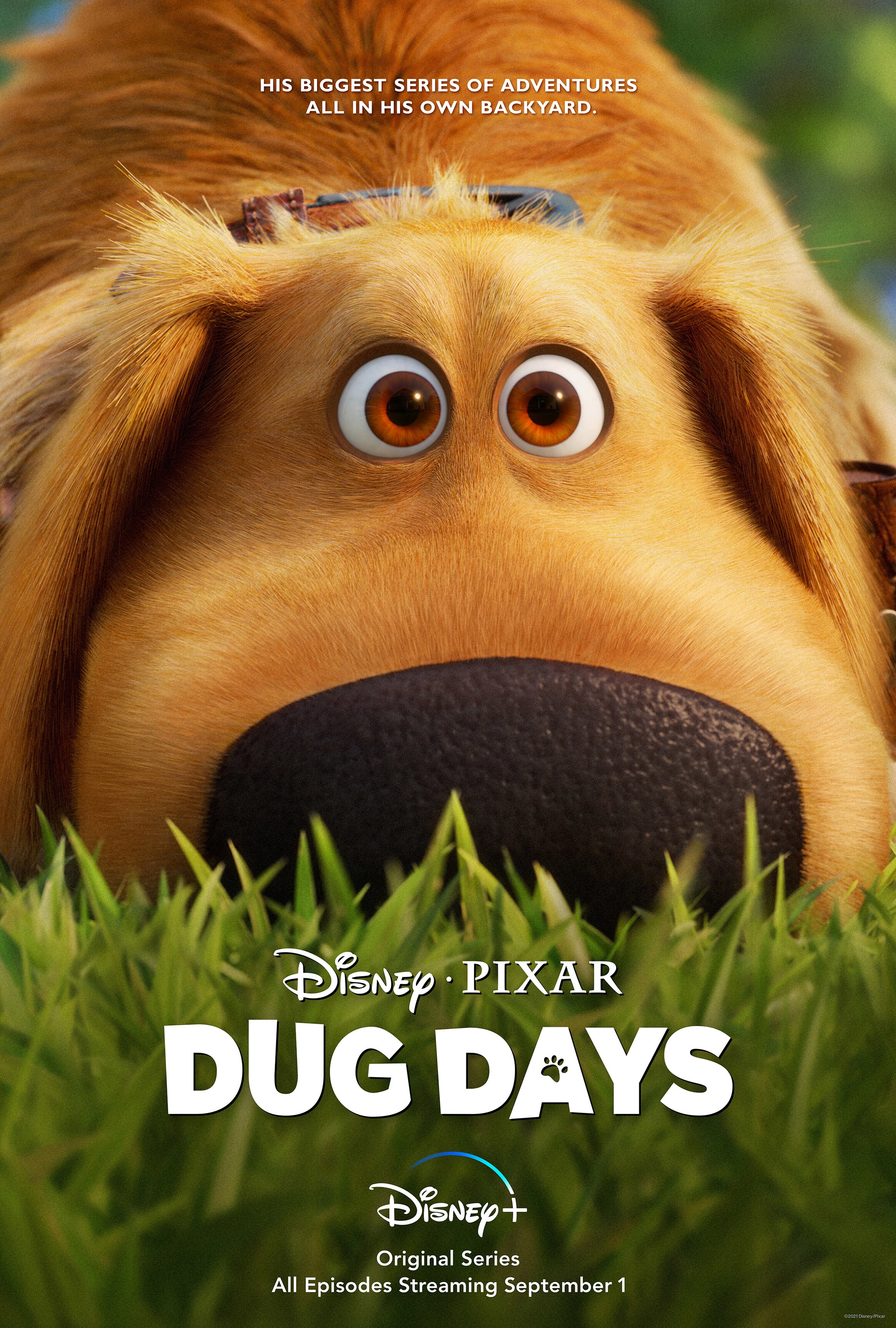 Pick your movie of the week: Disney Dogs! (Nov 25-Dec 1/16)