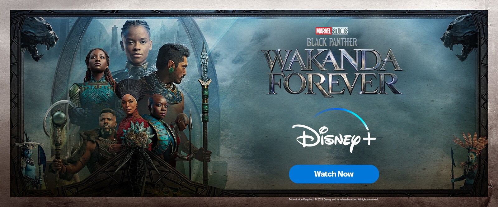 Disney+ Hotstar Marvel Studios' Black Panther: Wakanda Forever | Homepage Hero