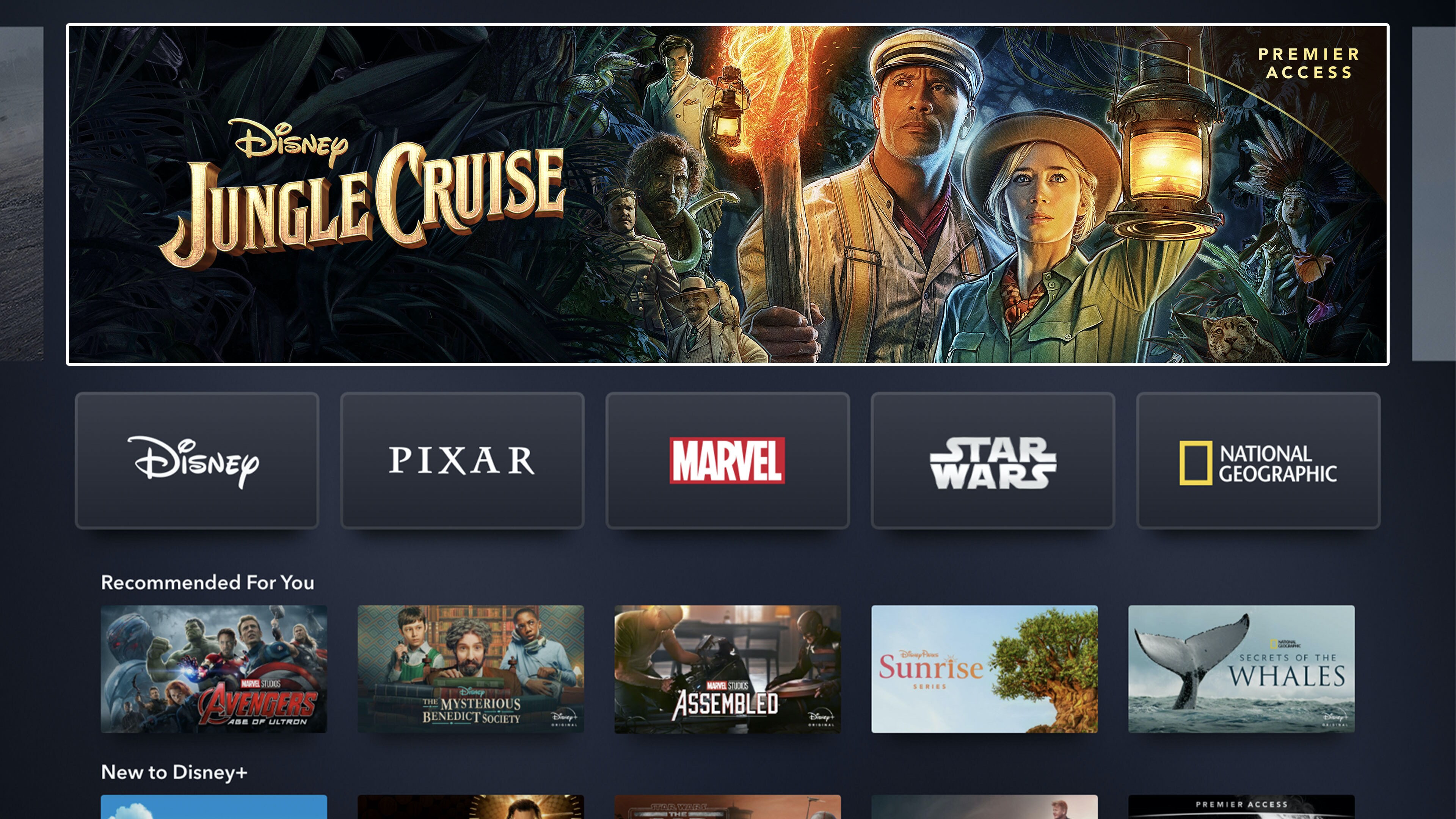 Disney+ App Home Page on Connected TV