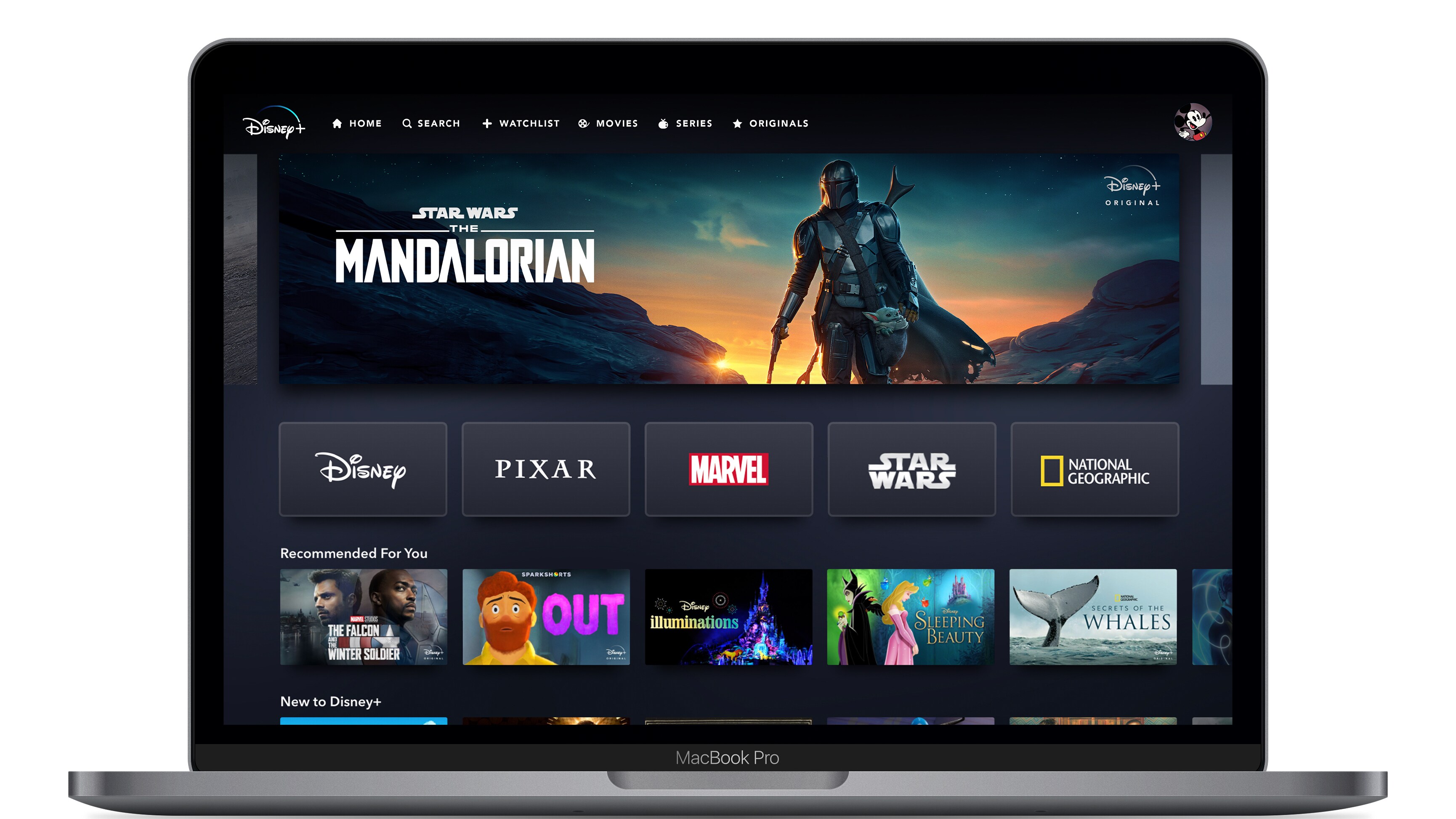 Disney+ App Home Page on Web Device