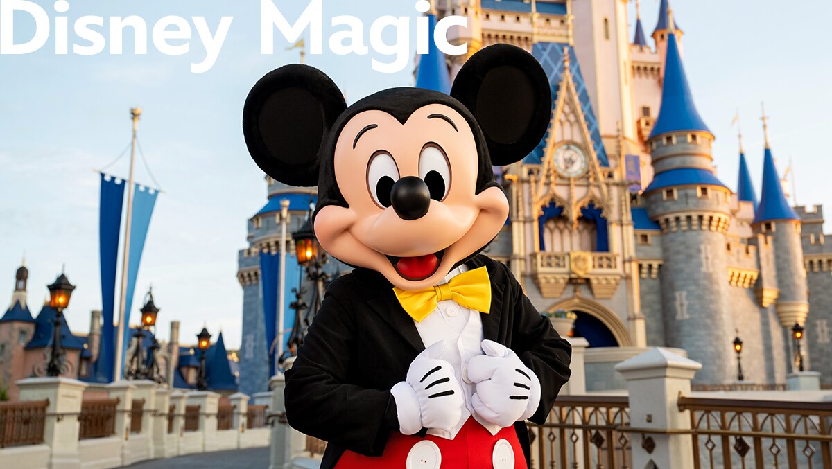 【サイズ:丈188 cm x 幅100 cm (2枚組)】Disney(ディズニ UNITED BASE｜【 Disney / ディズニー 】【A4対応】 ミッキーマウス