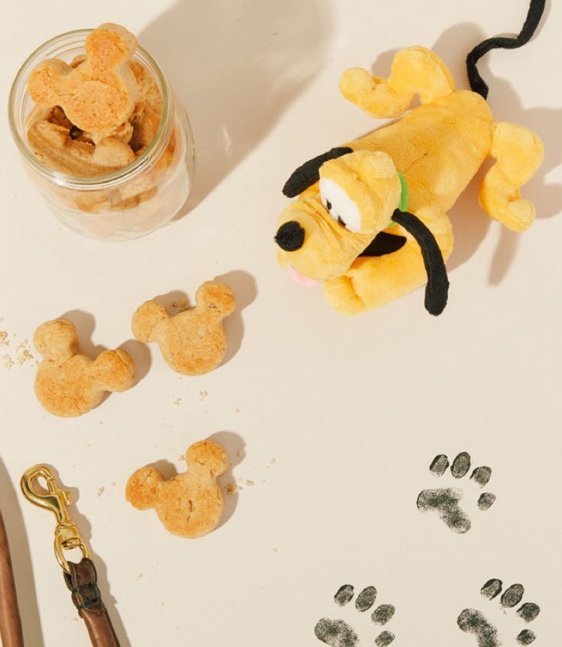 Homemade Mickey-Shaped Dog Treat