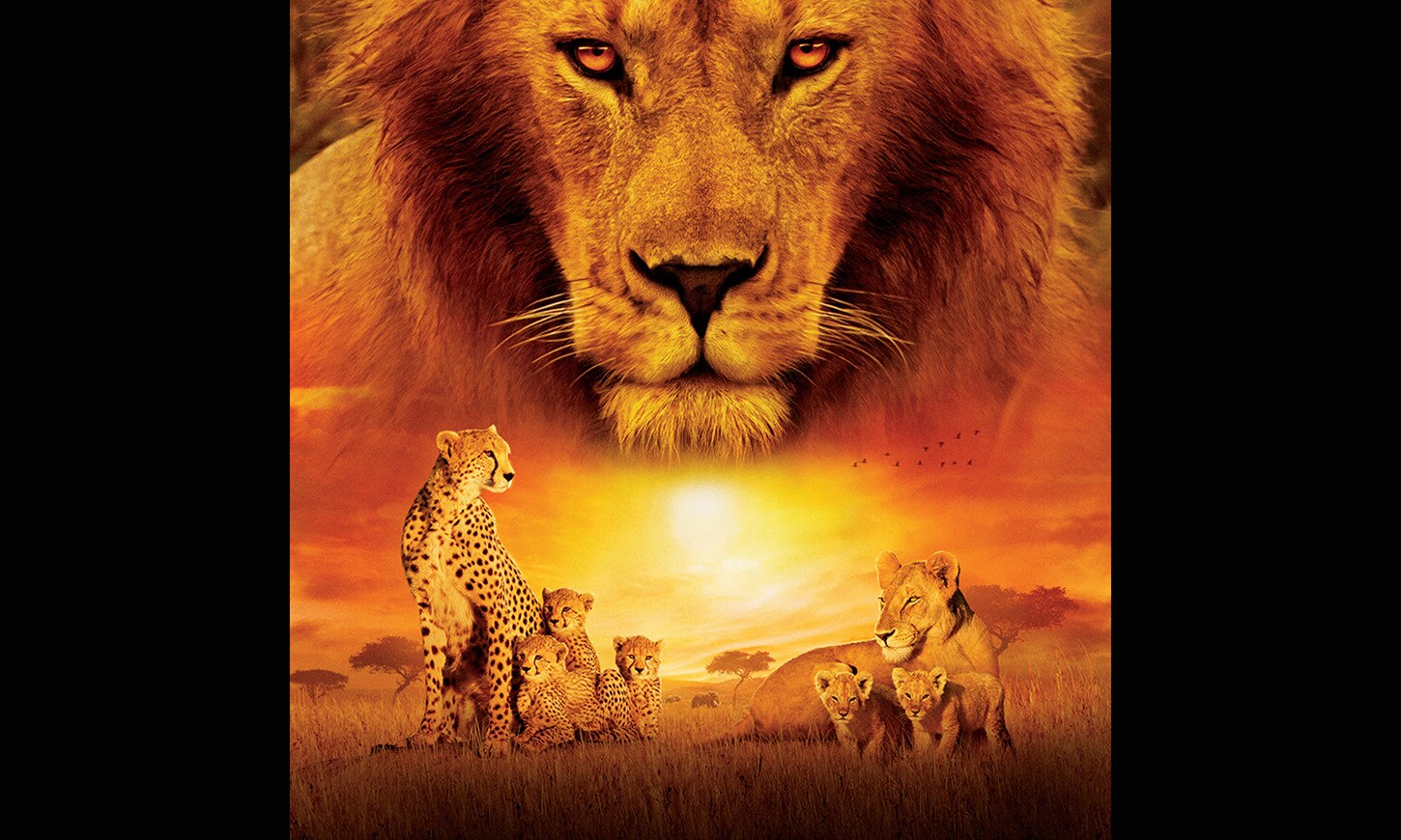 ディズニーネイチャー／サバンナを生きる百獣の王