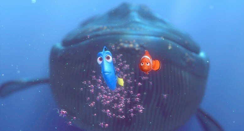 finding nemo dory quotes whale