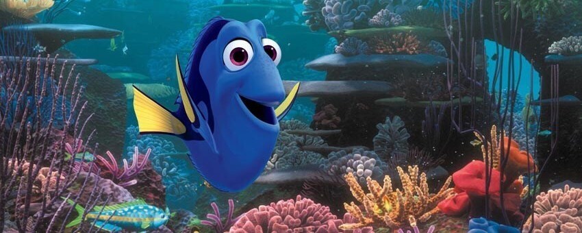 Buscando a Dory