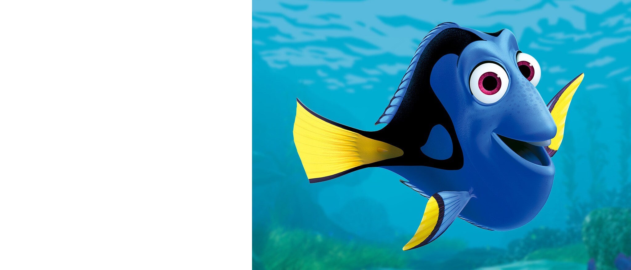 WDCC ファインディング・ニモ Finding Nemo ドリー Dory Yahoo!オークション - レア WDCC ファインディング・ニモ
