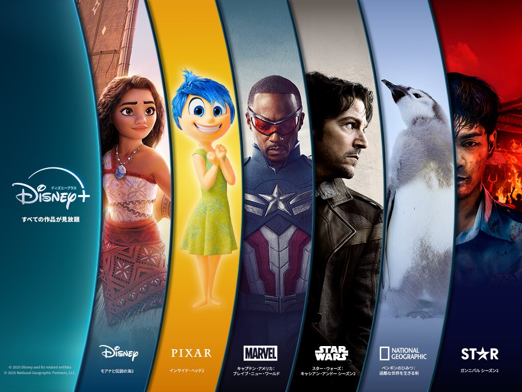 Disney - BHFIJ 専用となります！ 公式】Disney+（ディズニープラス）