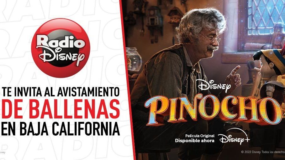 Radio Disney y Disney+ te invitan al avistamiento de Ballenas en Los Cabos con tu familia