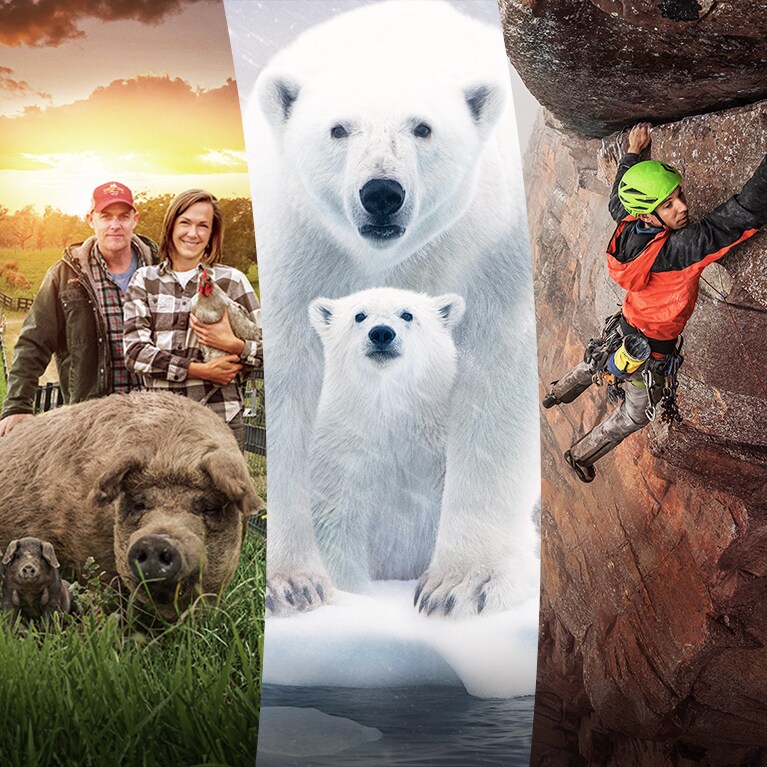 Celebrate and learn this Earth Day with Disney+ | Disney Australia