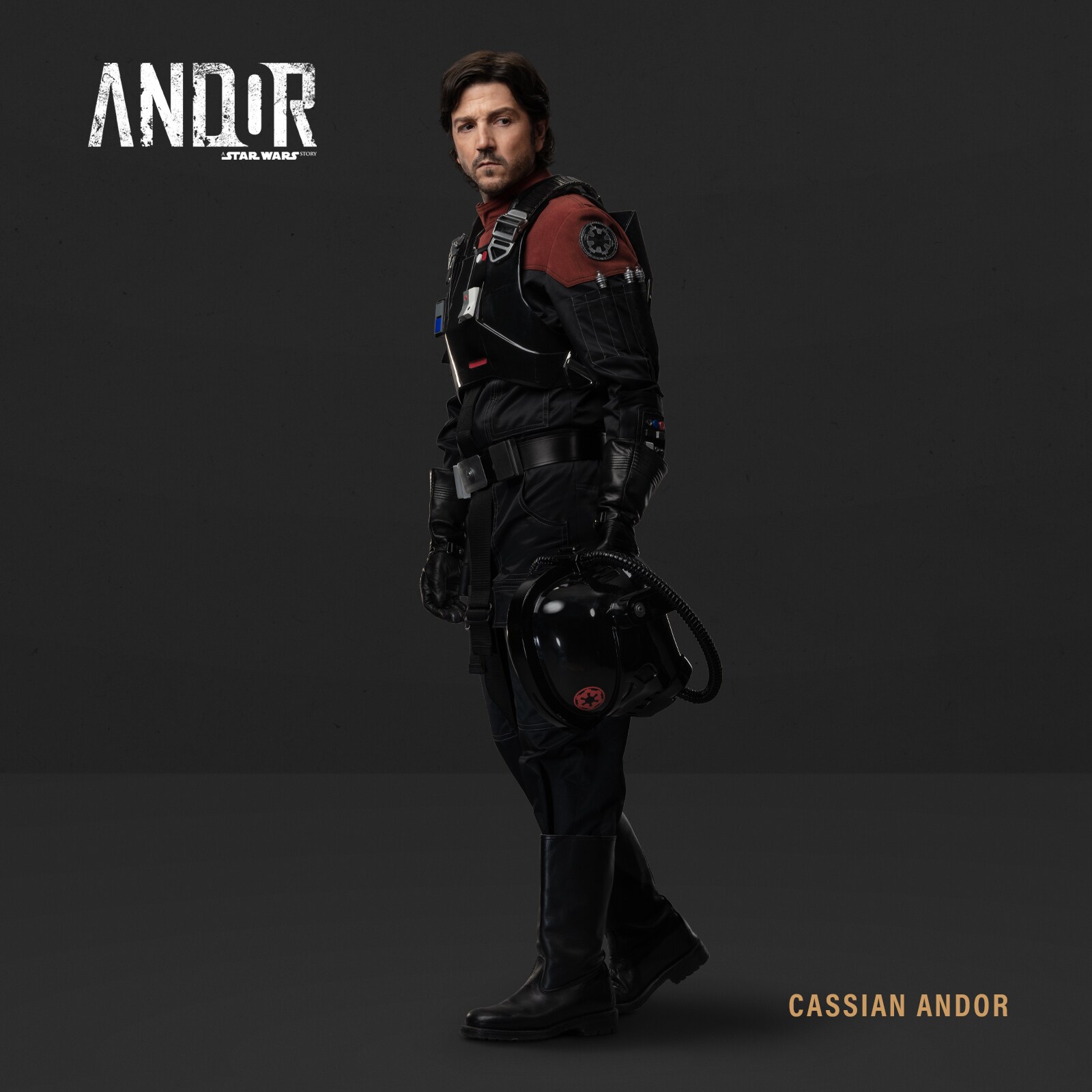 Cassian Andor - TIE Fighter Pilot costume.