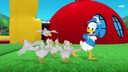 Donald's Ducks