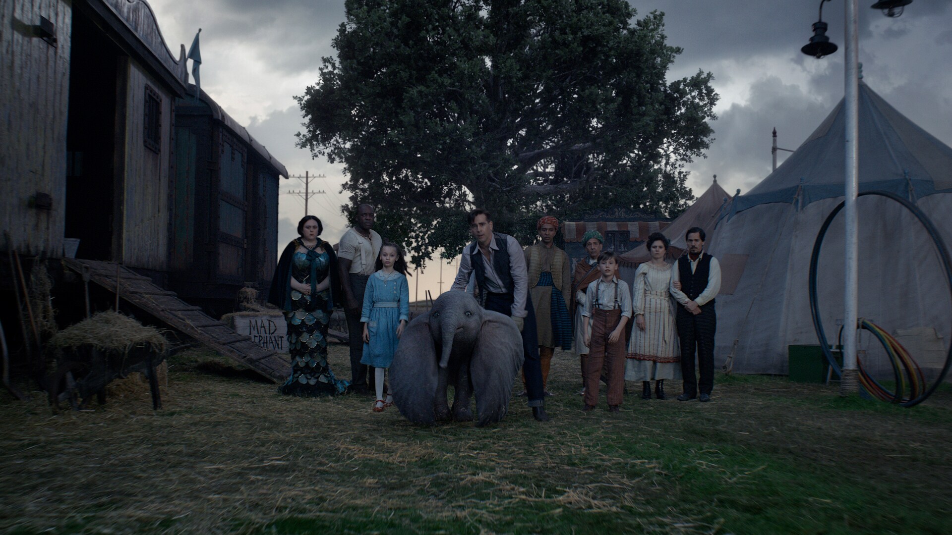 Dumbo image showcase 04