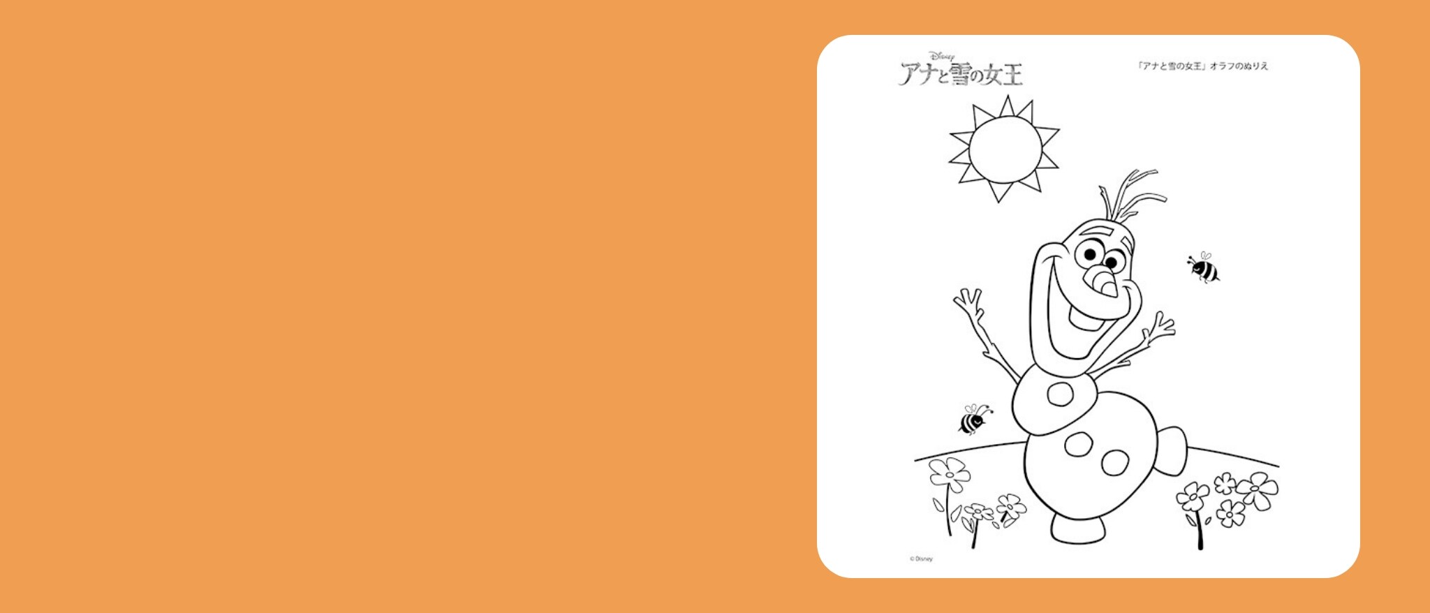 オラフページ スクリーボ 限定生産品 ラ・ドッタ オレフィチェ 万年筆 14K