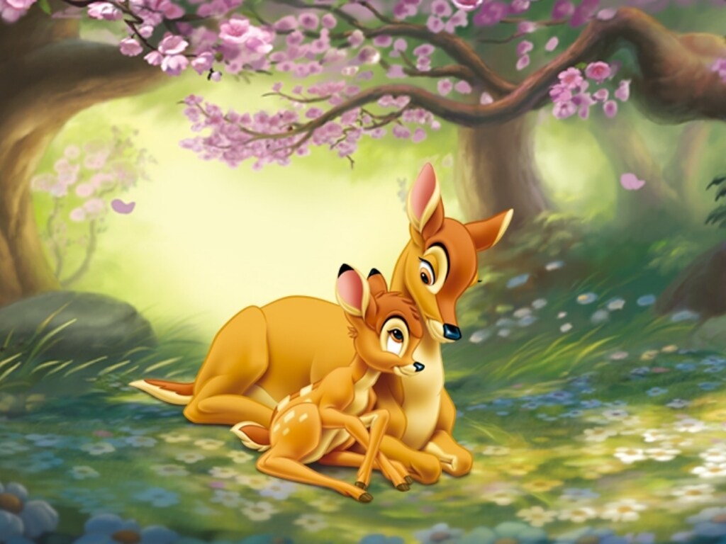 ebo_12495_12441_12531_12498_12