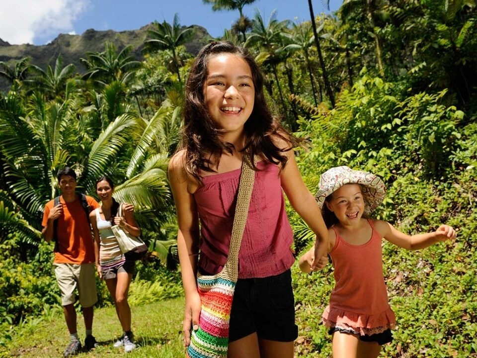 アウラニディズニー　マルチカバー　ブランケト（127×152） アウラニディズニー マルチカバー ブランケト（127×152） アウラニ