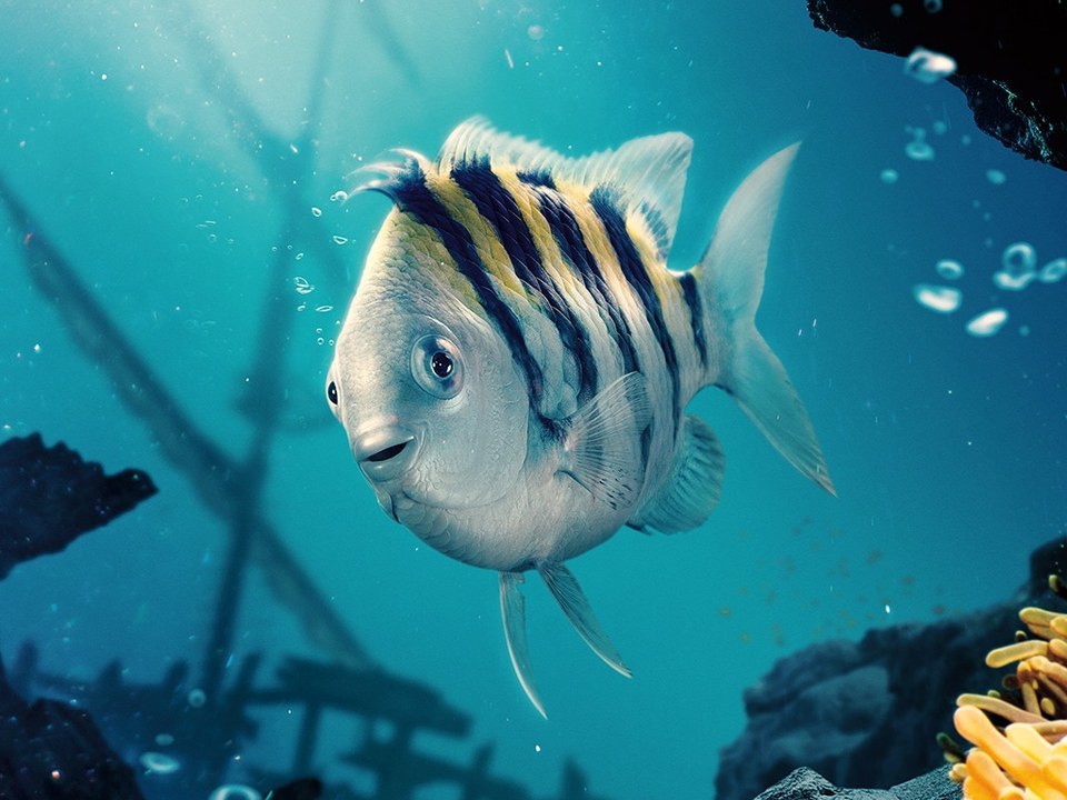 実写版リトルマーメイドを見ました。なぜ、見るべきか、なぜ、見