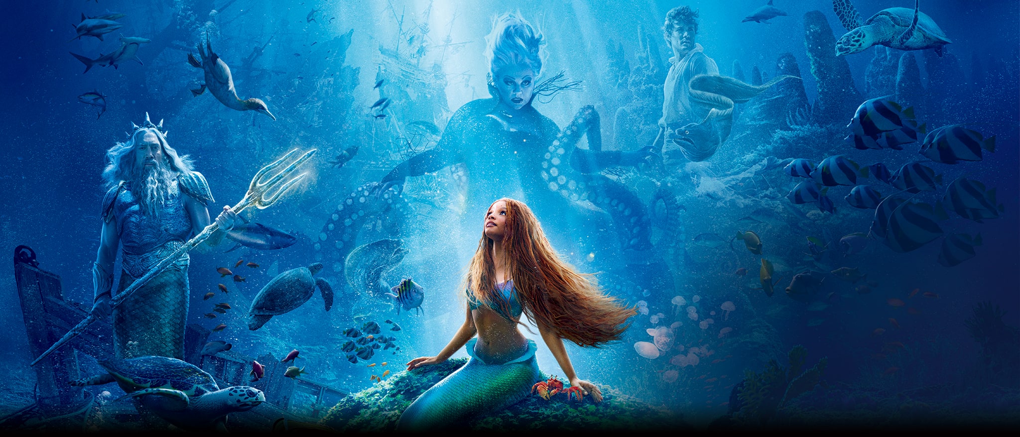 リトル・マーメイド』公開記念 #リトルマーメイドはやく観たい