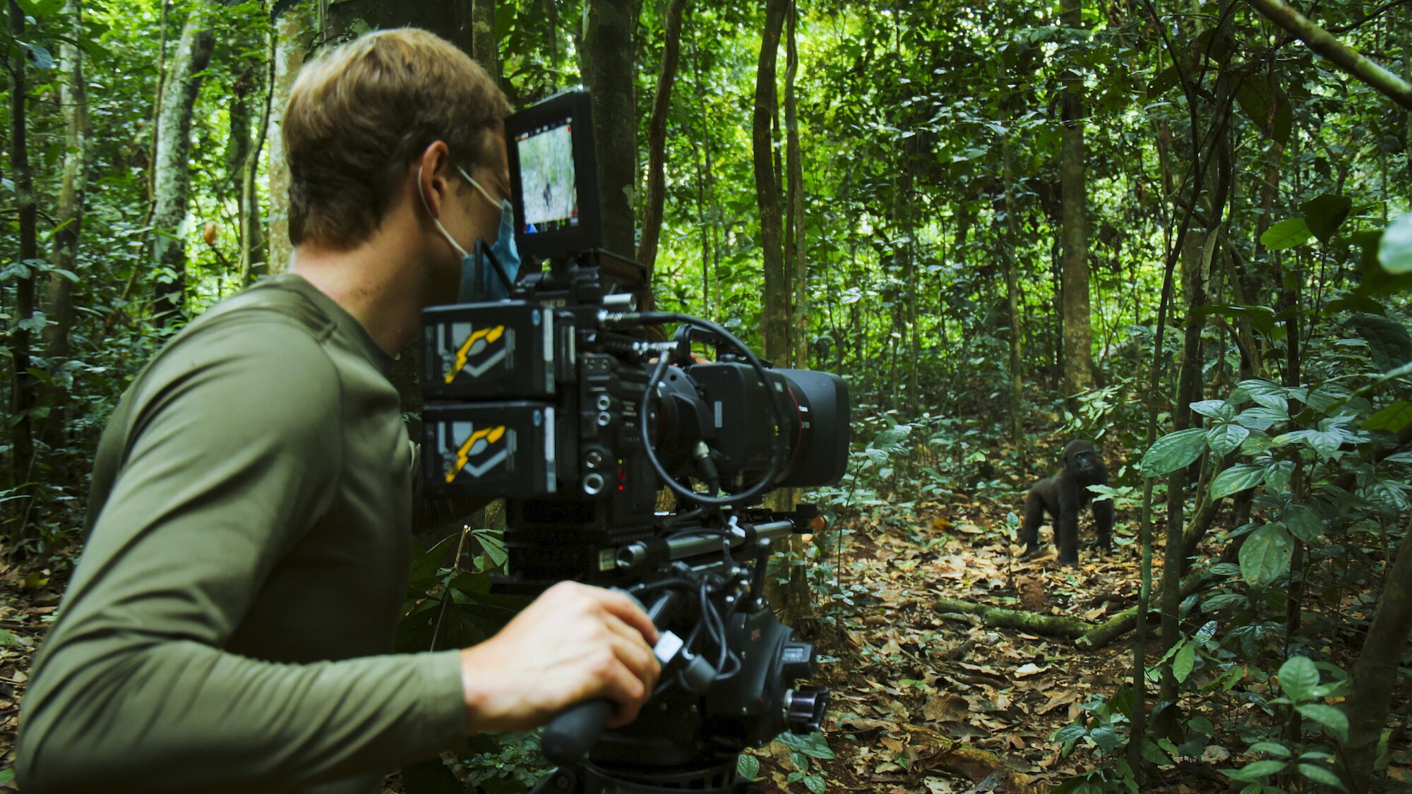 Bertie Gregory filming a Gorilla in the forest. (National Geographic for Disney+/Mark Mclean)