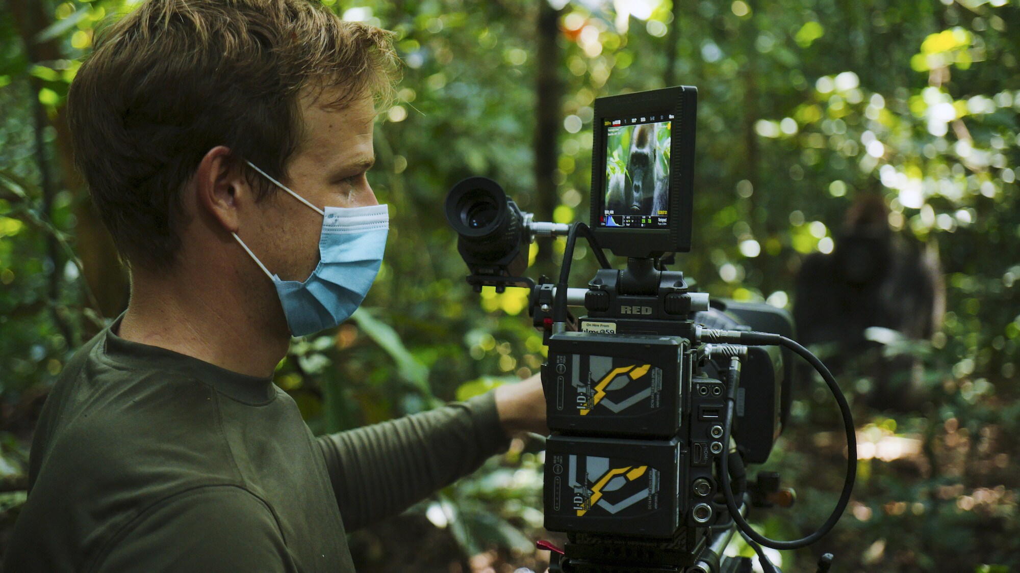 Bertie Gregory filming a gorilla. (National Geographic for Disney+/Mark Mclean)