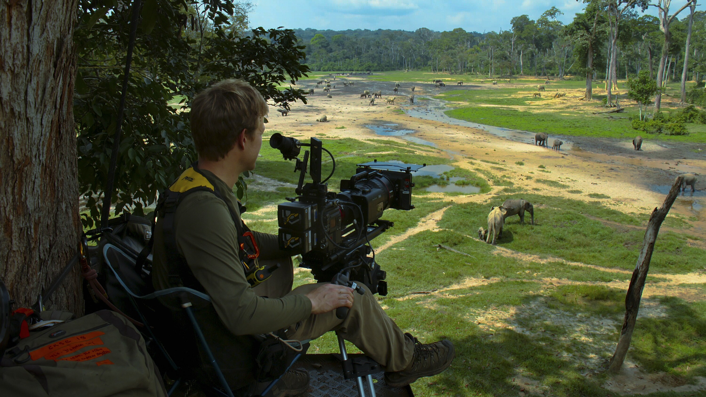 Bertie Gregory on the tree platform filming the elephants below on the Bai. (National Geographic for Disney+/Mark Mclean)
