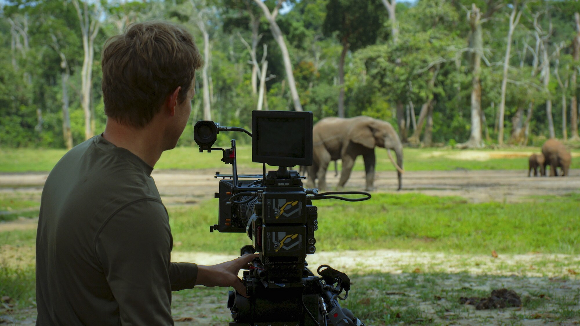 Bertie Gregory filming elephants. (National Geographic for Disney+/Mark Mclean)
