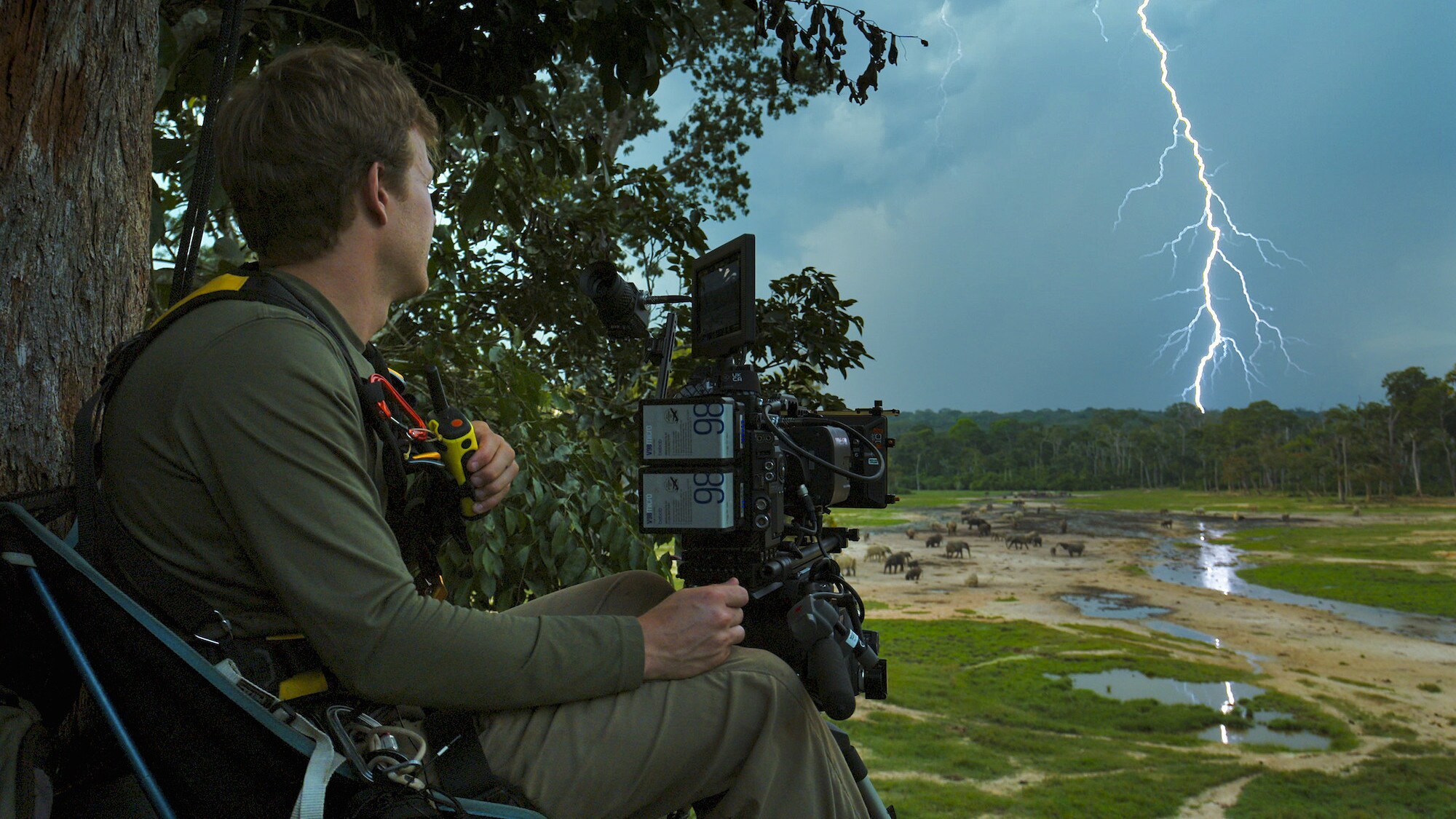Bertie Gregory sitting up a tree watching the electrical storm. (National Geographic for Disney+/Mark Mclean)