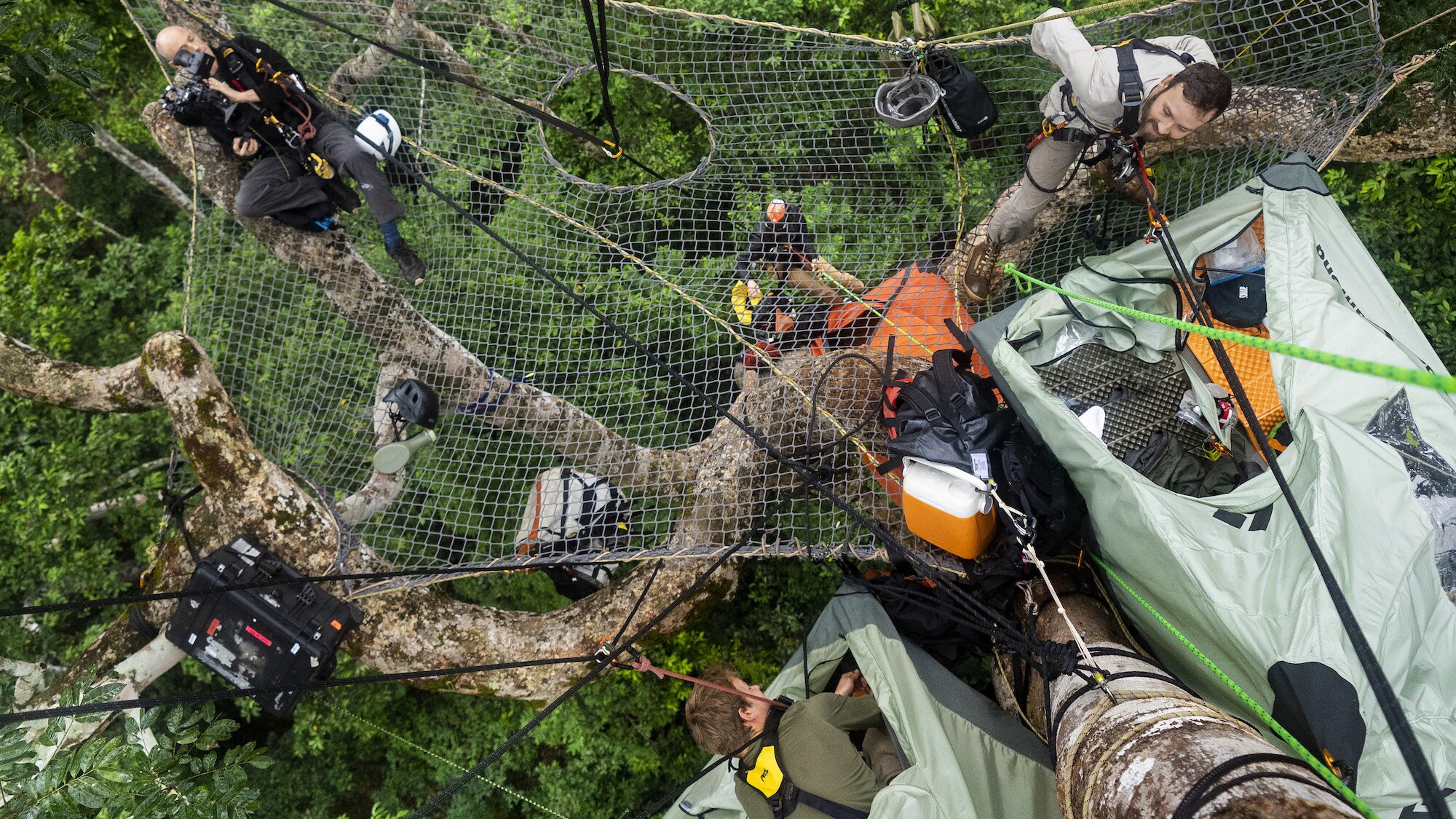 Mark McClean lying on the canopy netting while filming. (National Geographic for Disney+/Waldo Etherington)