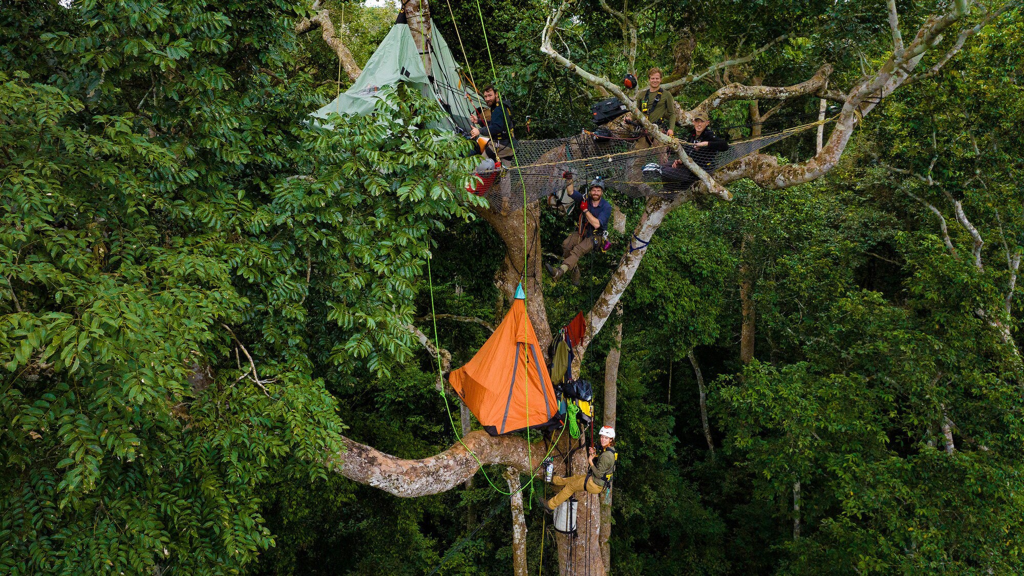 The crew in their tree canopy camp. (National Geographic for Disney+/Waldo Etherington)