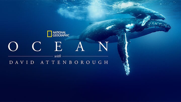 Ocean with David Attenborough