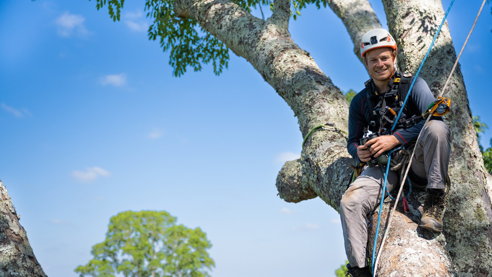 Bertie Gregory in Kasanka's tallest tree. (Credit: National Geographic/Oliver Laker for Disney+)
