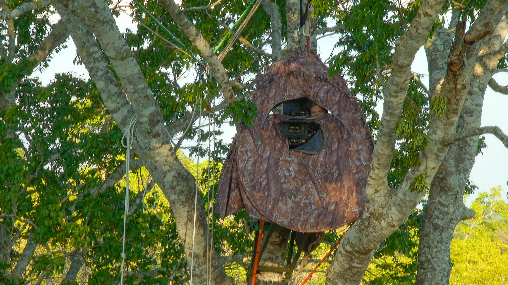 Bertie Gregory in a tree hide in Kasanka National Park. (Credit: National Geographic for Disney+)