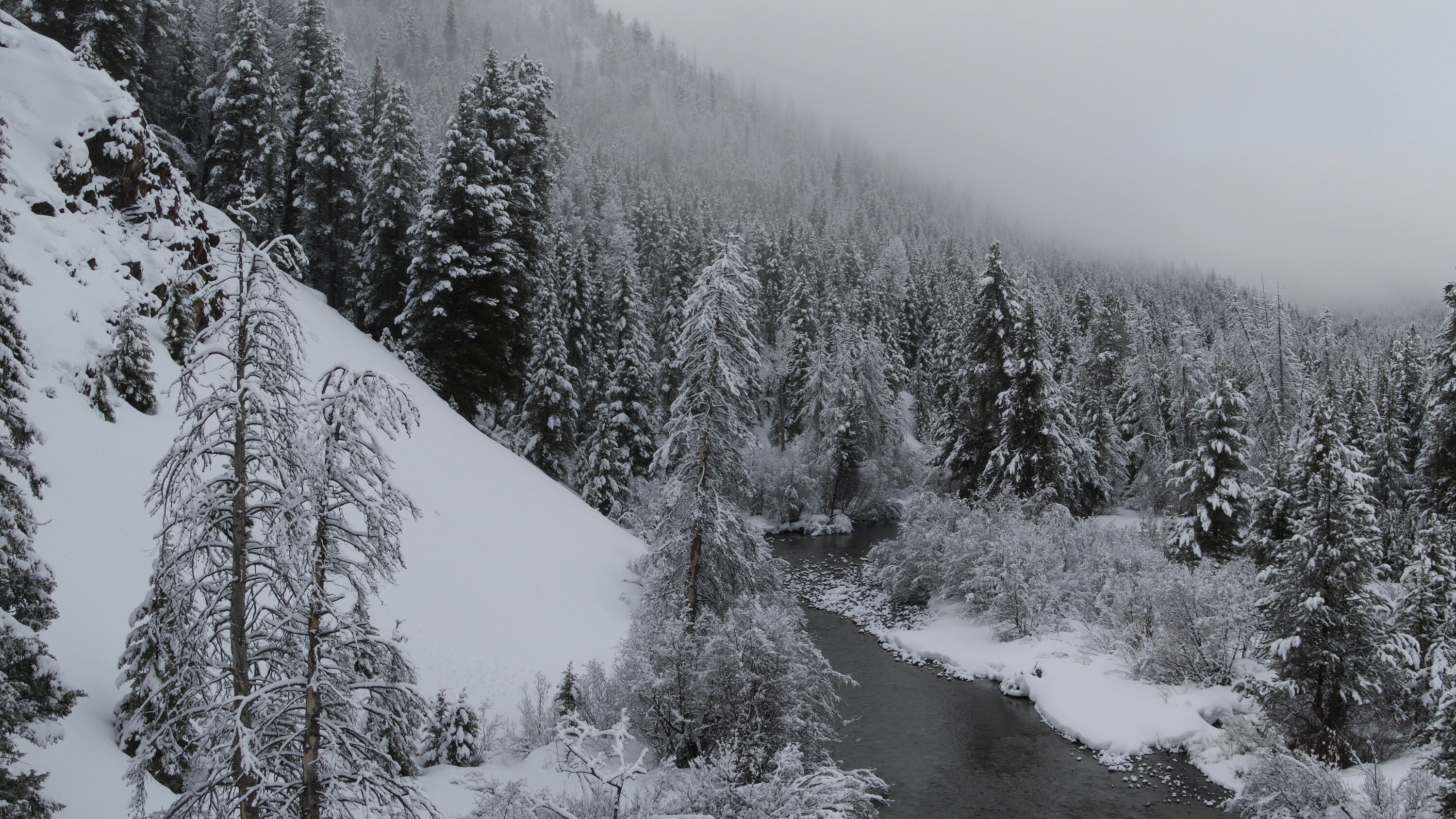 Big Wood River in Idaho with snow-covered Evergreen trees on the mountain ridge. (National Geographic for Disney+)