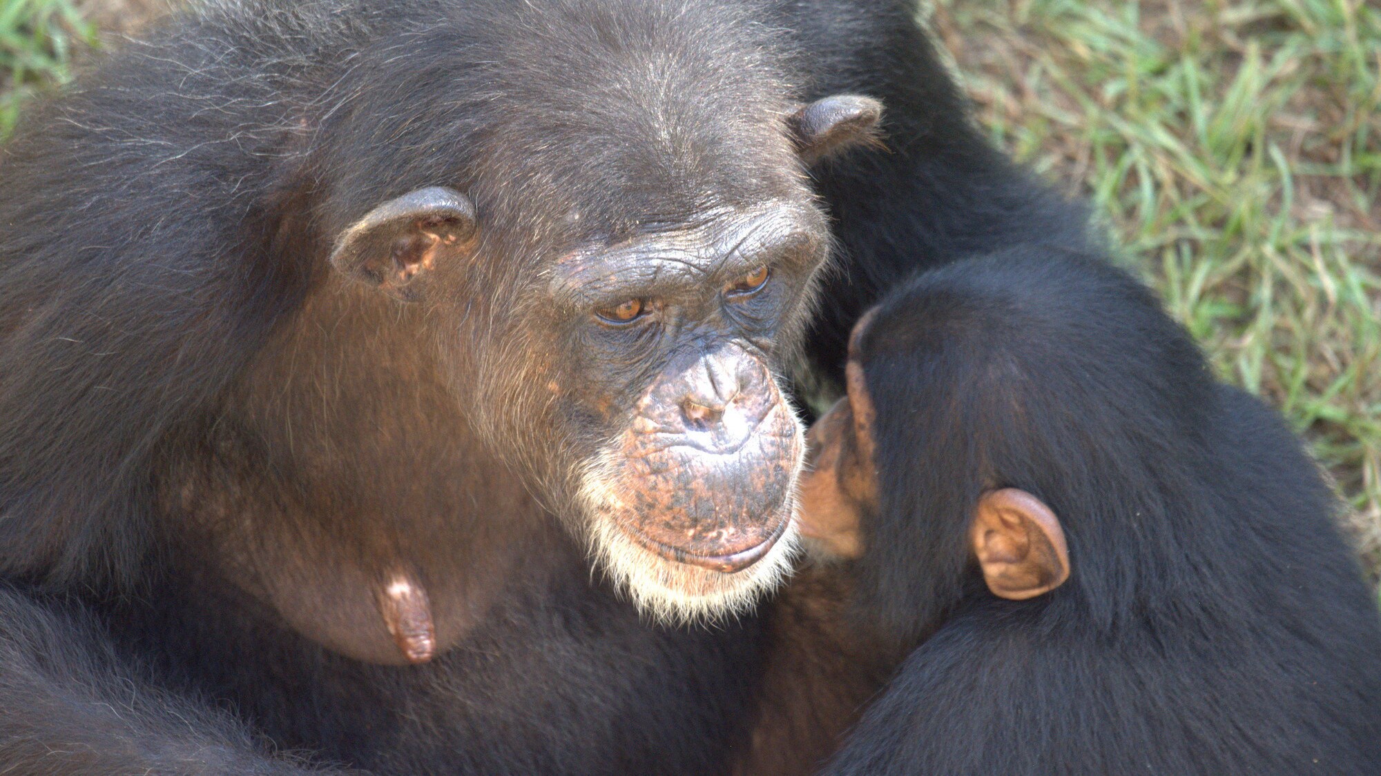 Keithville, Louisiana - Passion shares an intimate moment with her daughter Carlee. 'Flora's Group'. (National Geographic/Virginia Quinn)