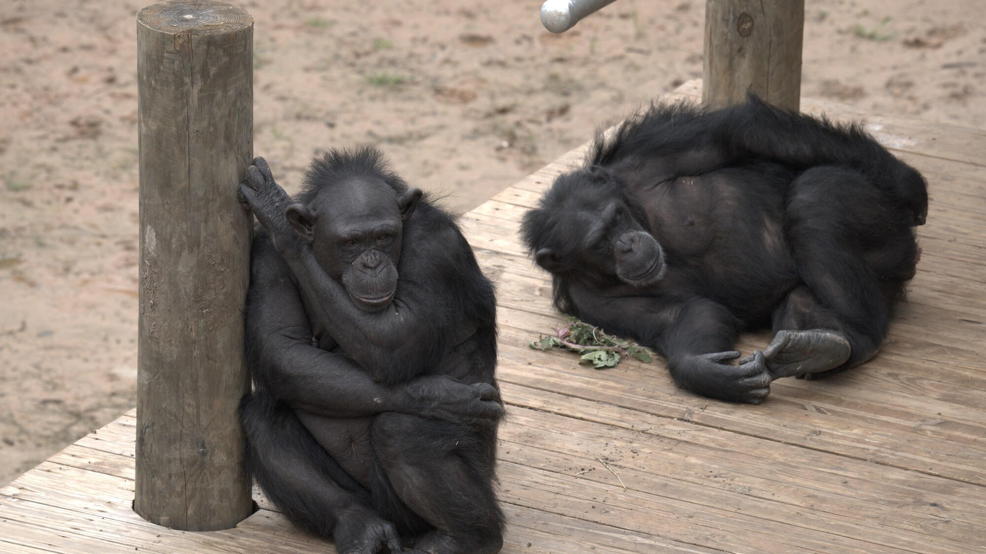 Slim sitting and Baby lying playing with toes on wooden platform. (National Geographic/Virginia Quinn)