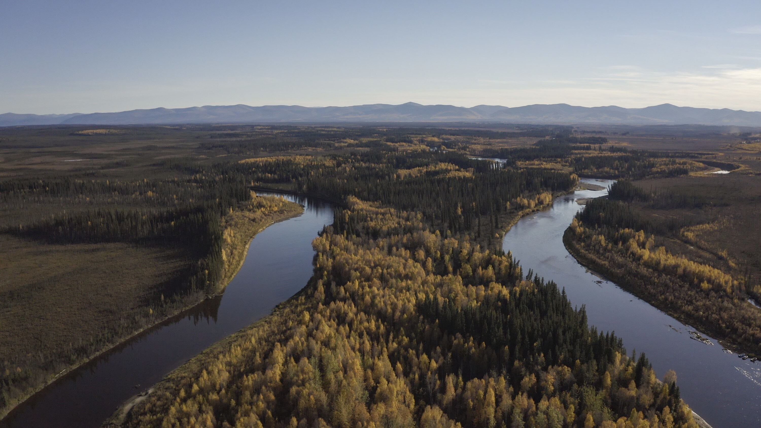 The Yukon River winding through the boreal forest. (National Geographic/Austin Ferguson)