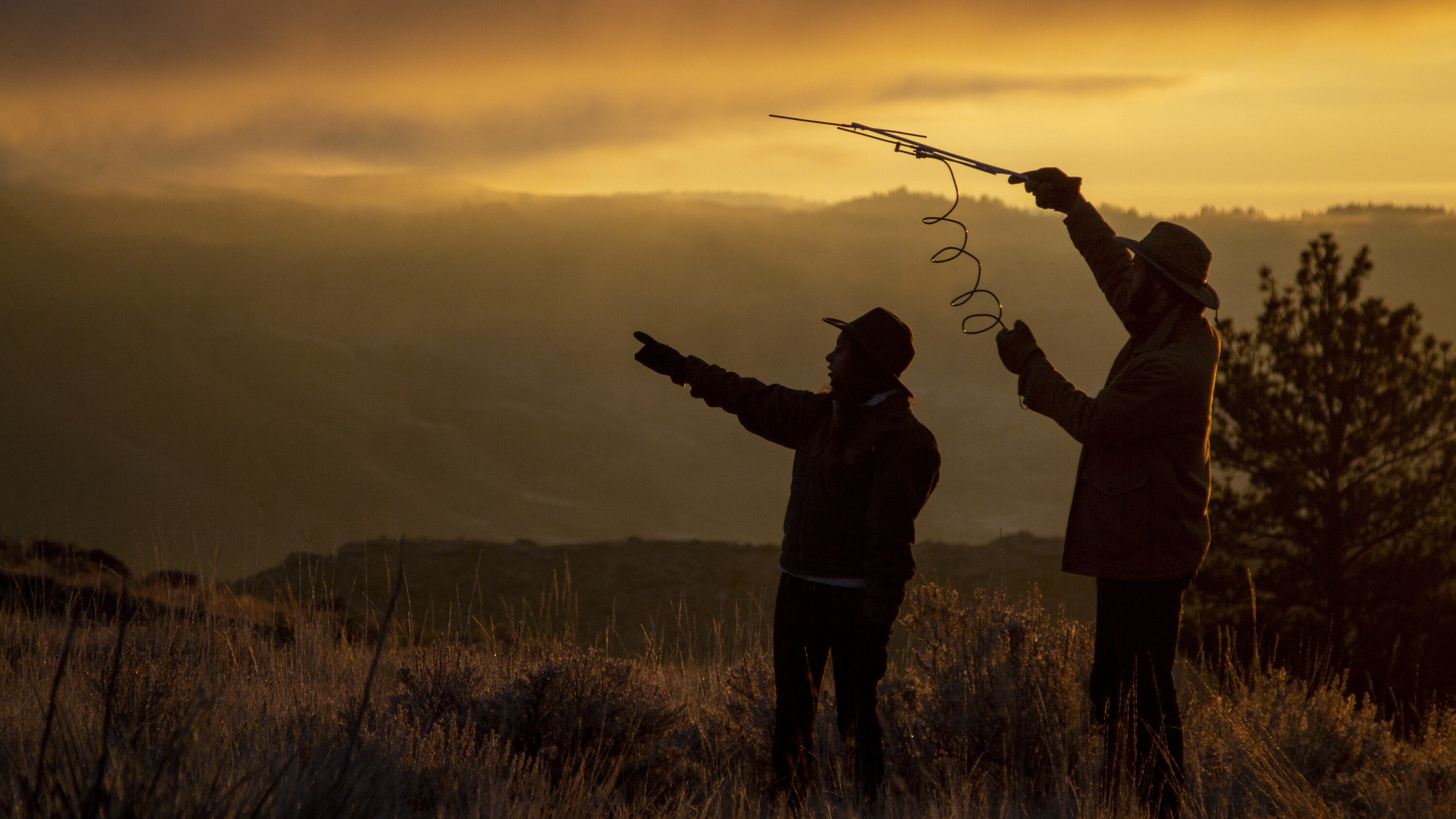 Daniel Kinka and Rae Wynn-Grant use a radio tracking device to monitor some of their radio-collared wildlife in the early morning light.  (National Geographic/Bertie Allison)