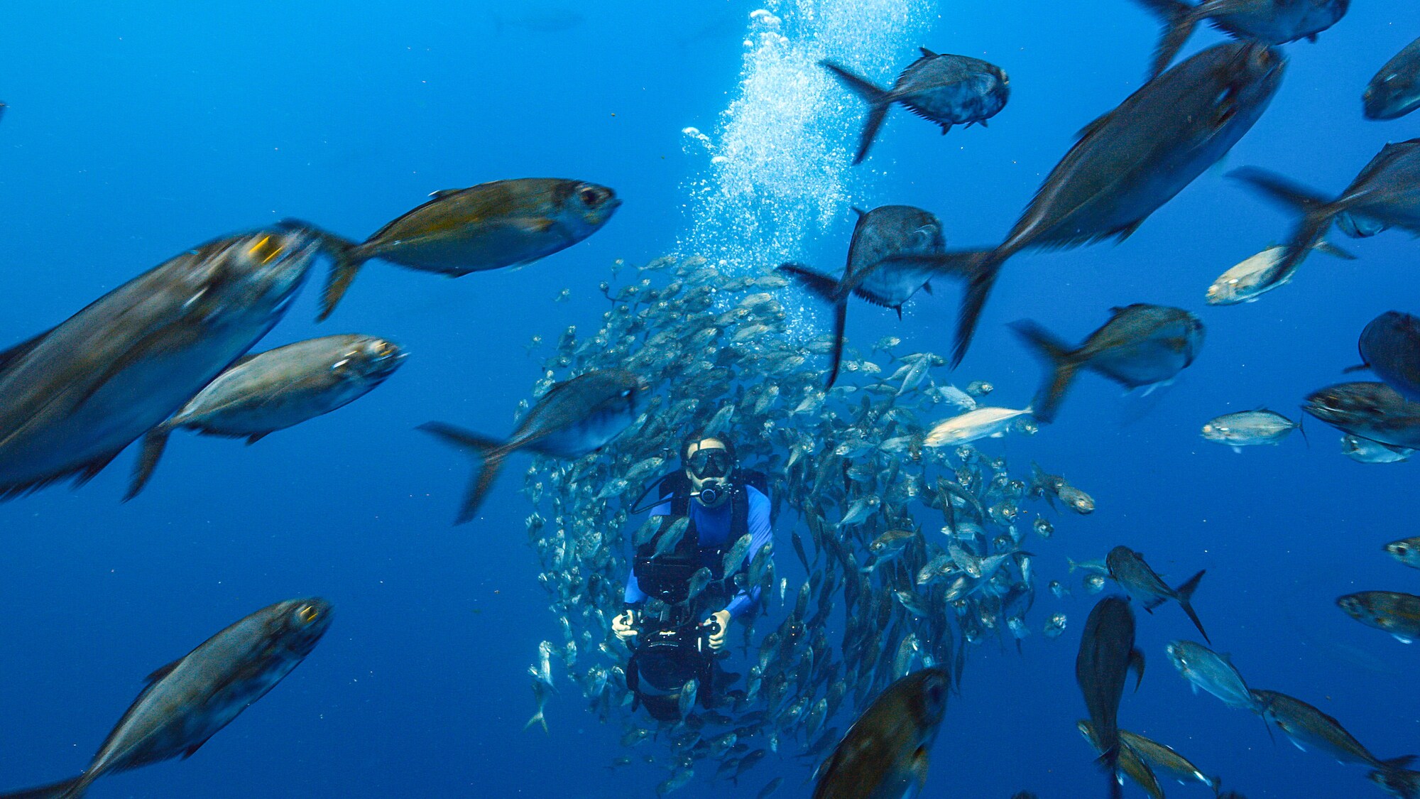 Bertie Gregory swimming through a shoal of fish. (Credit: National Geographic/Johnny Rogers for Disney+)