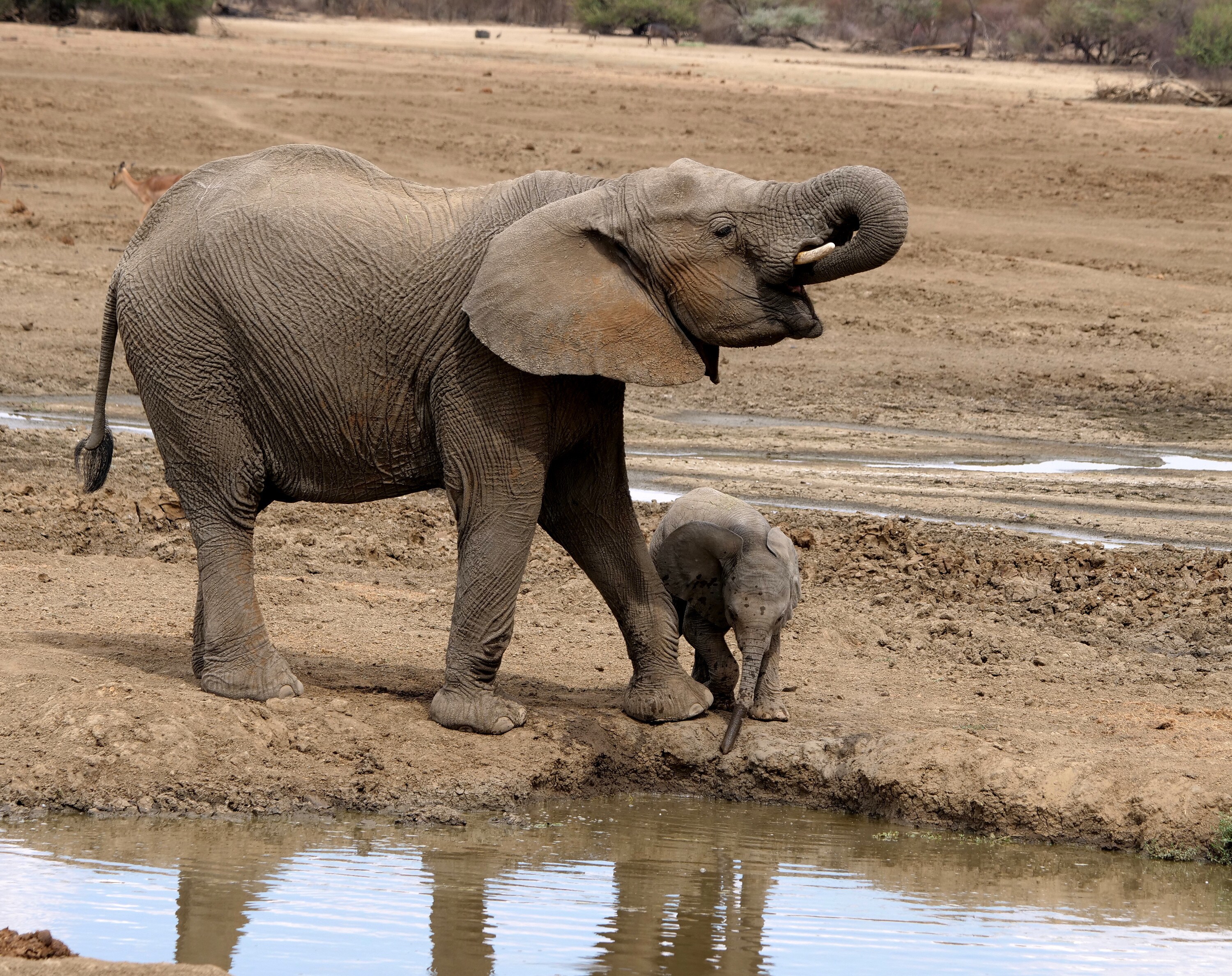 Aria and Thandi drinking. (National Geographic for Disney+/Melanie Gerry)