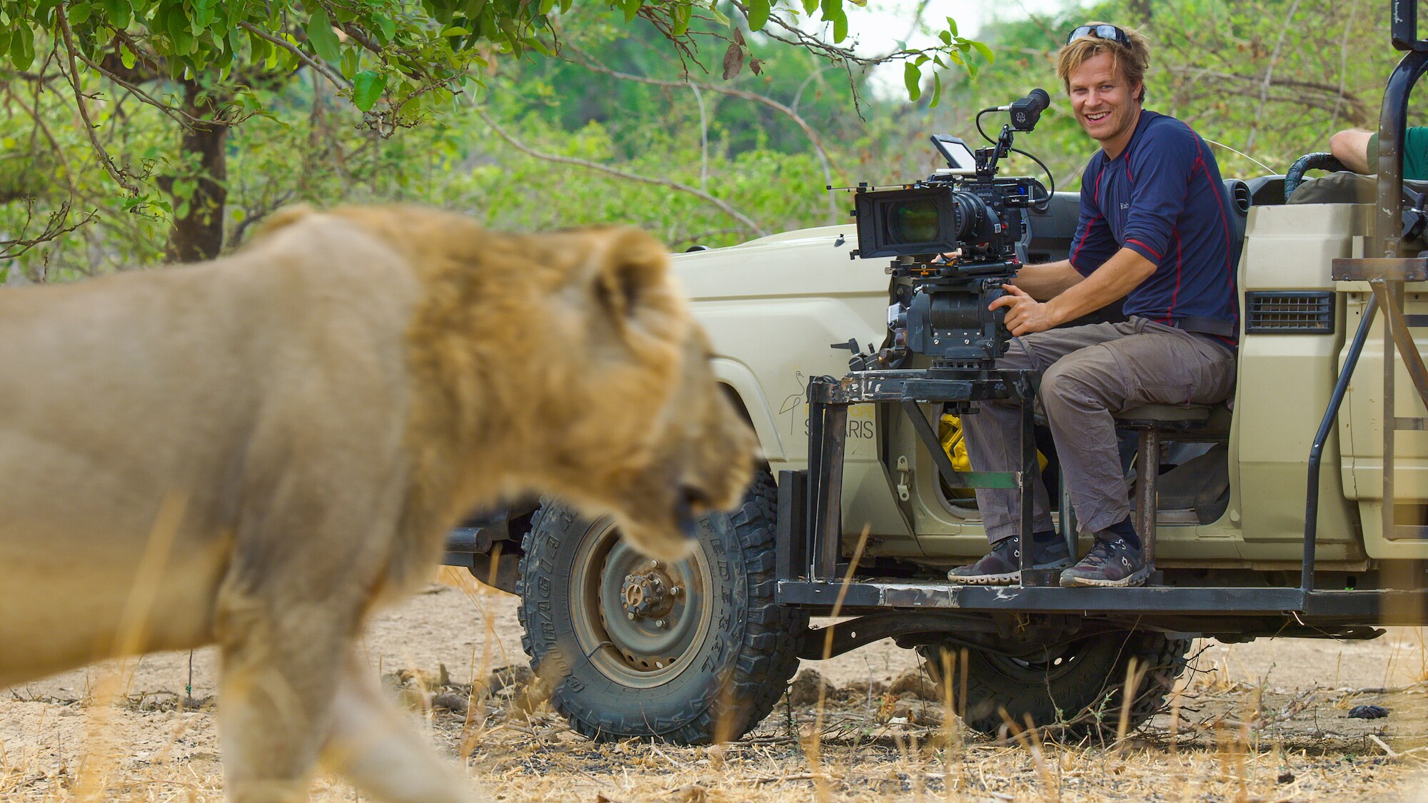 Bertie Gregory looks on as a male lion walks past the filming vehicle. (Credit: National Geographic for Disney+)