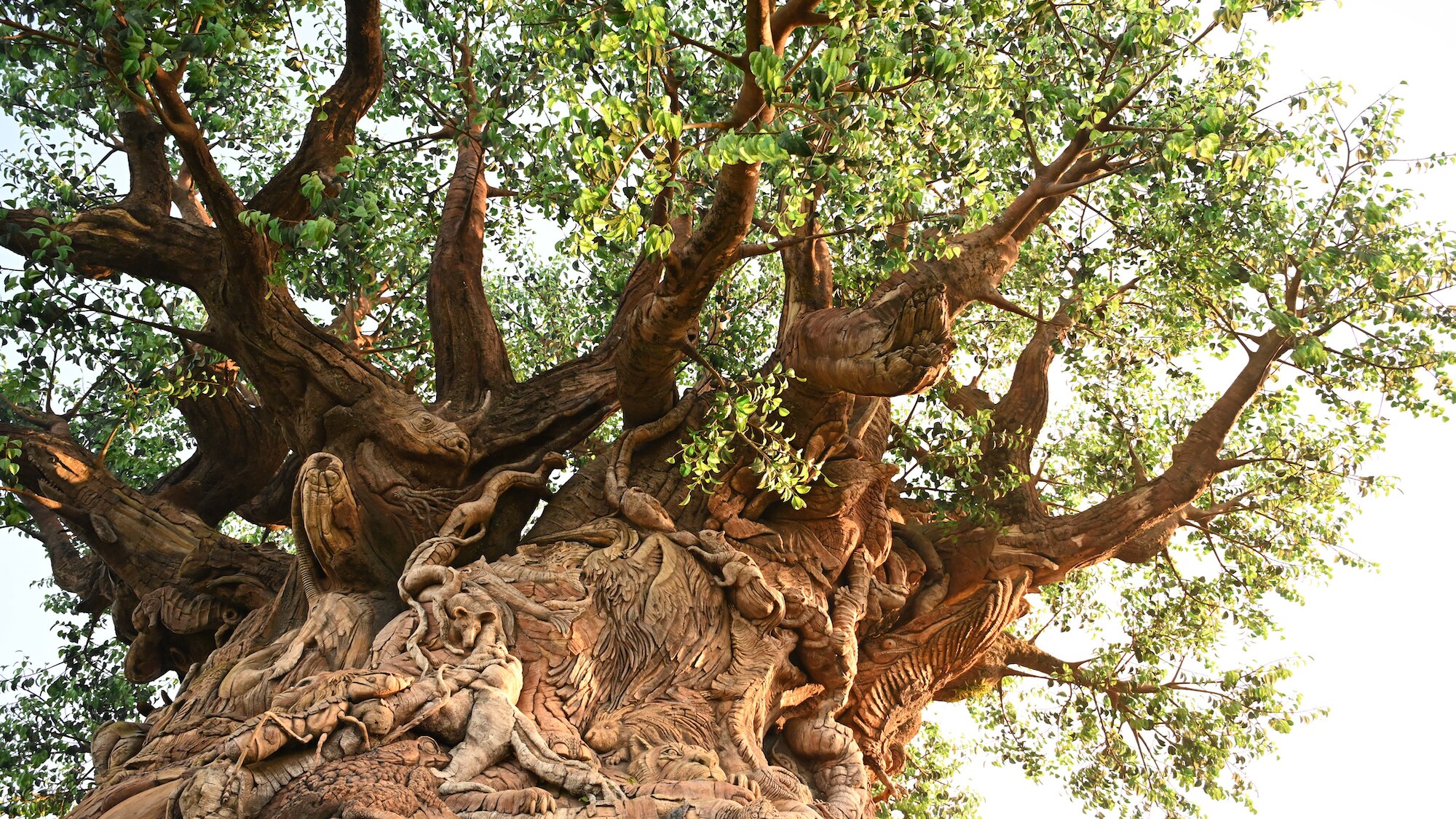 The Tree of Life with carved animal detail. (National Geographic/Gene Page)