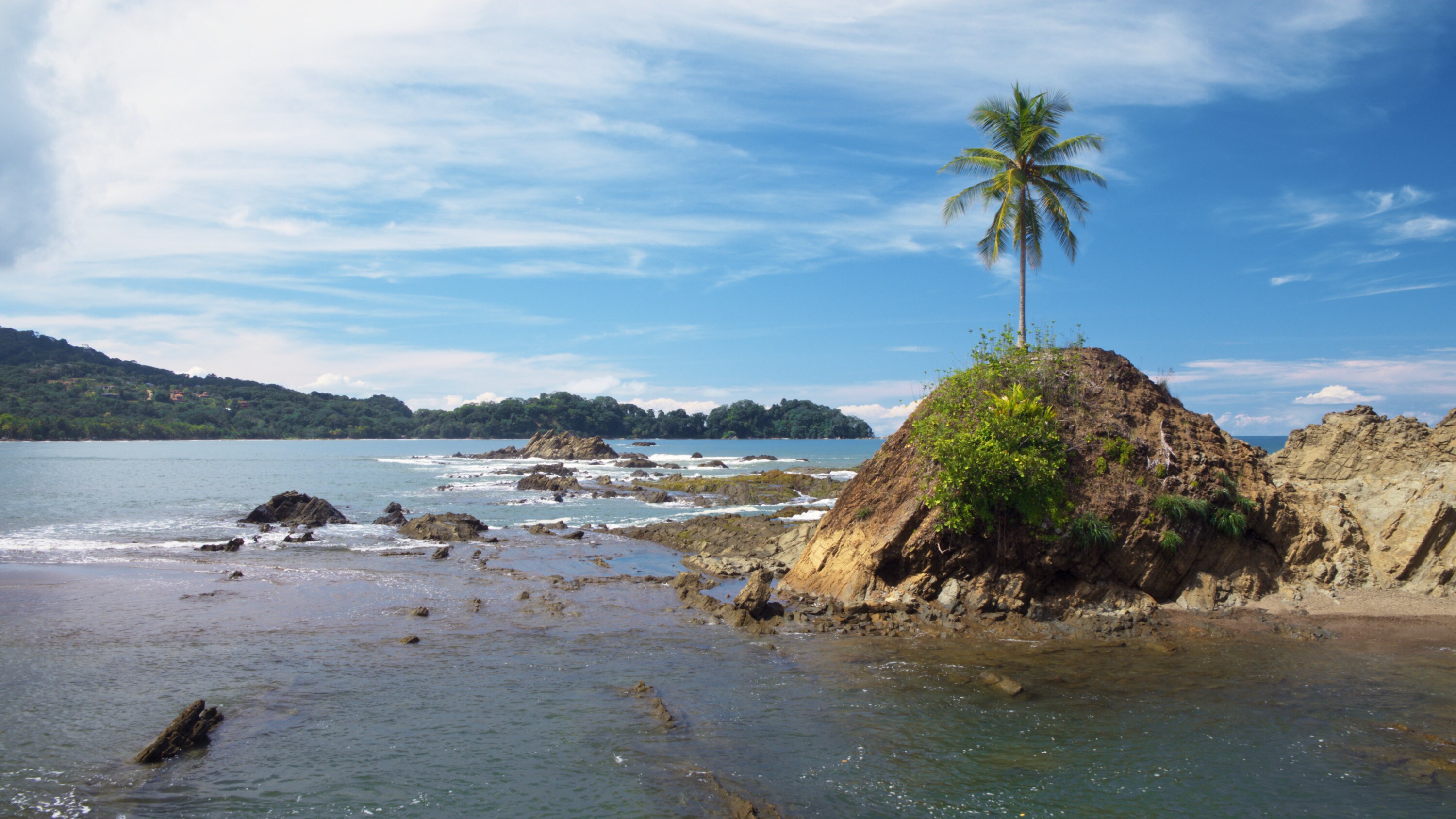 A single tree on a rocky island in Manuel Antonio National Park. (National Geographic for Disney+)