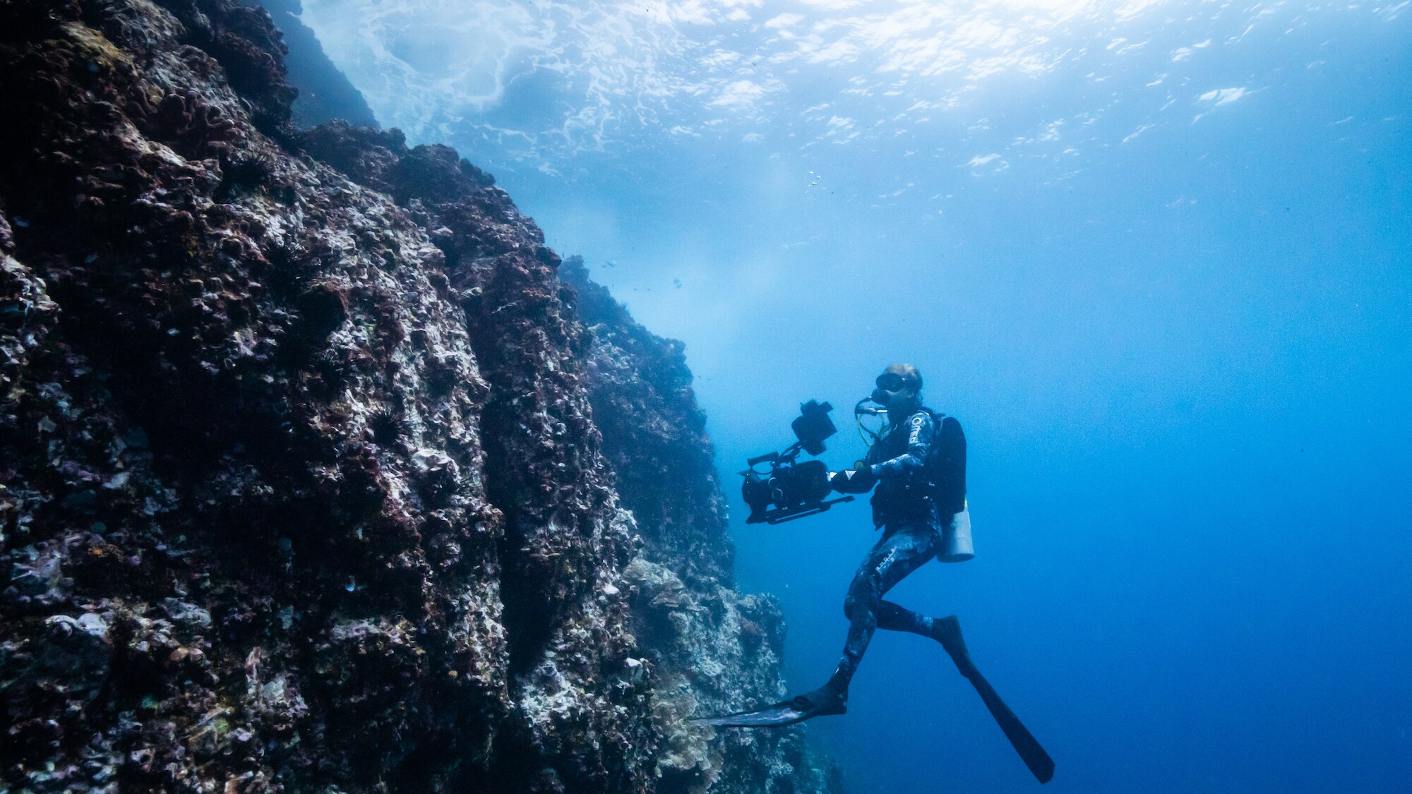 Bertie Gregory filming underwater in Costa Rica. (Credit: National Geographic/Mark Sharman for Disney+)