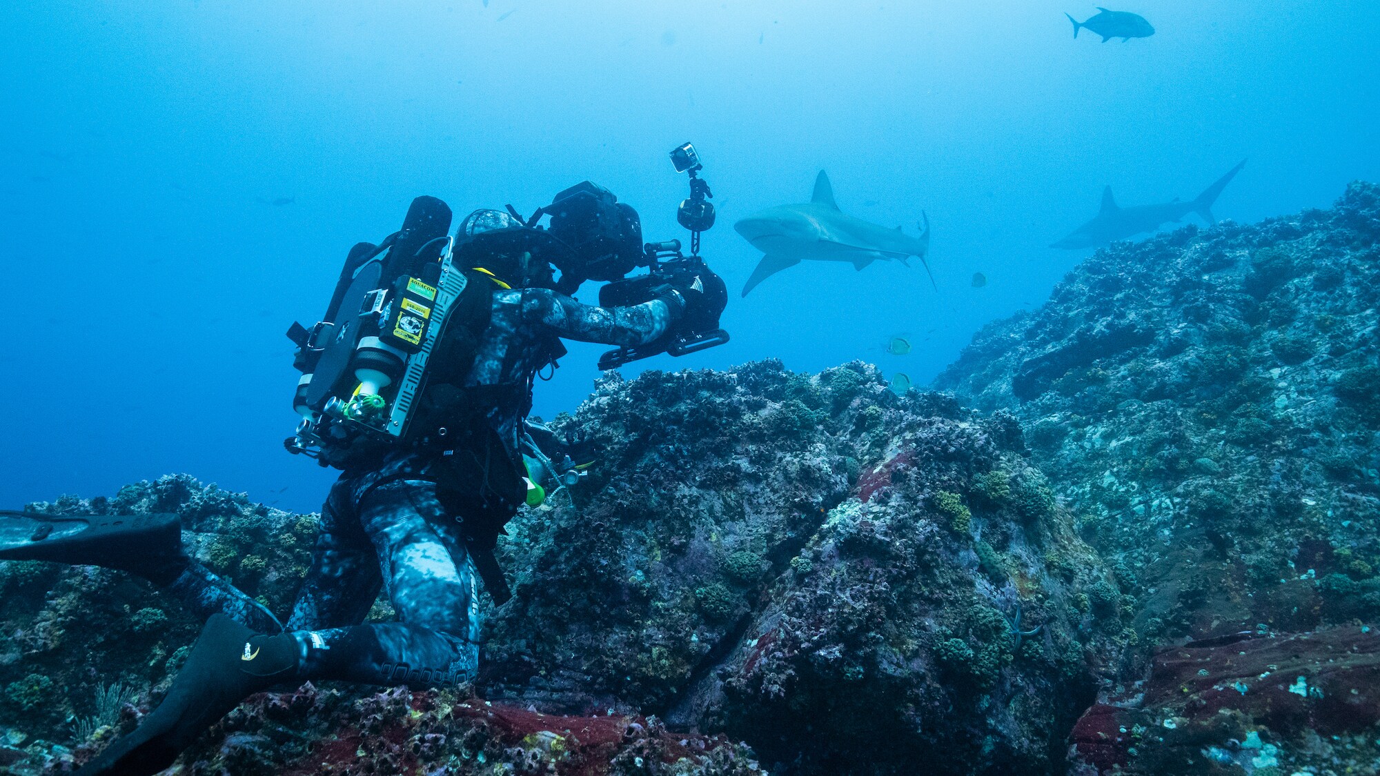 Bertie Gregory filming hammerhead sharks. (Credit: National Geographic/Hugh Pearson for Disney+)
