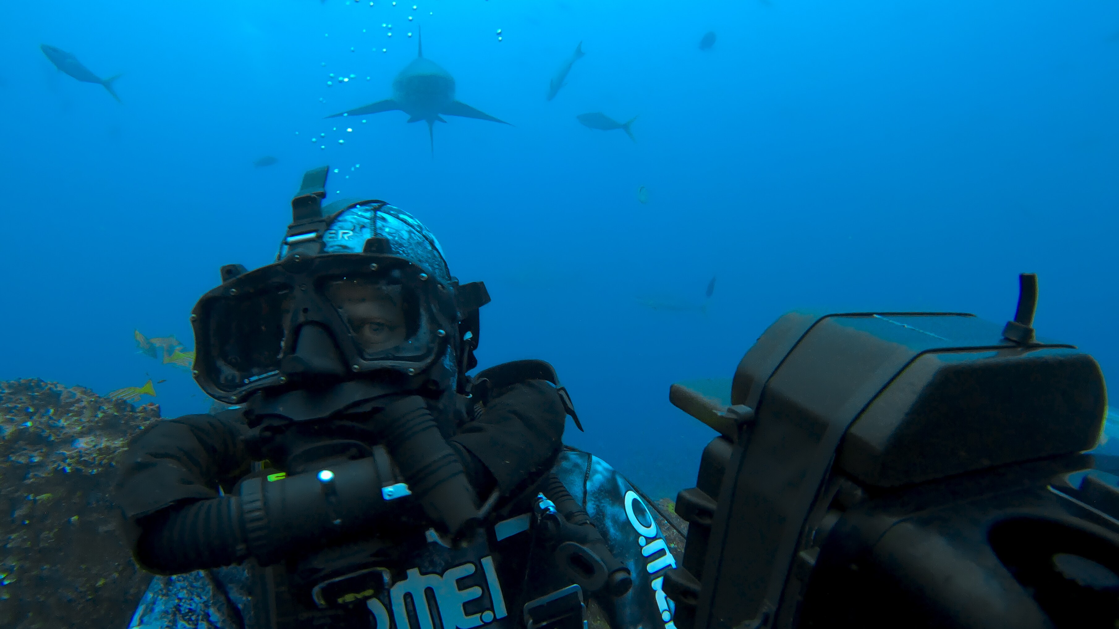 Bertie Gregory filming in shark filled waters. (Credit: National Geographic/Bertie Gregory for Disney+)