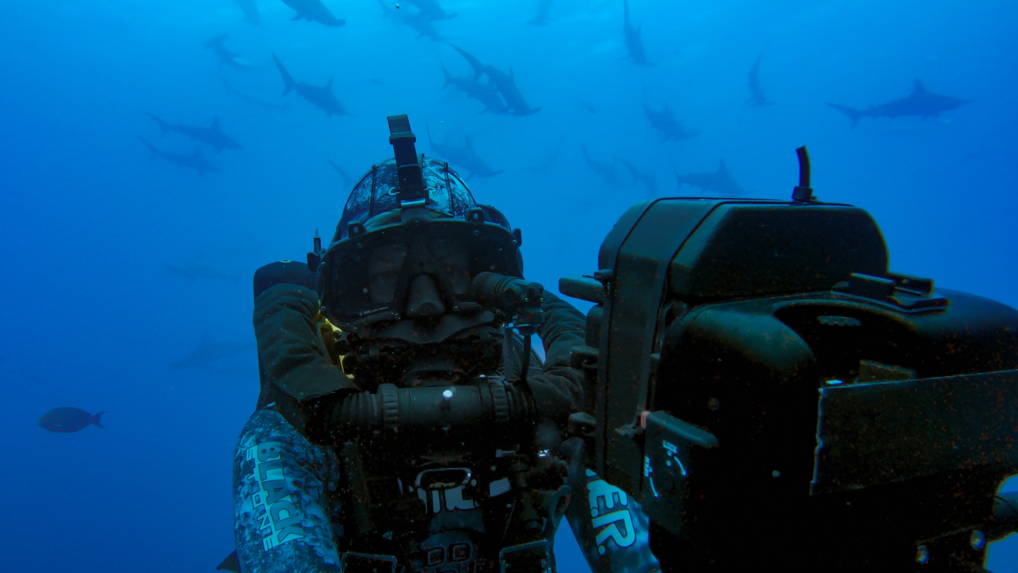 Bertie Gregory filming below a large group of Scalloped hammerheads and Galapagos sharks. (Credit: National Geographic/Mark Sharman for Disney+)