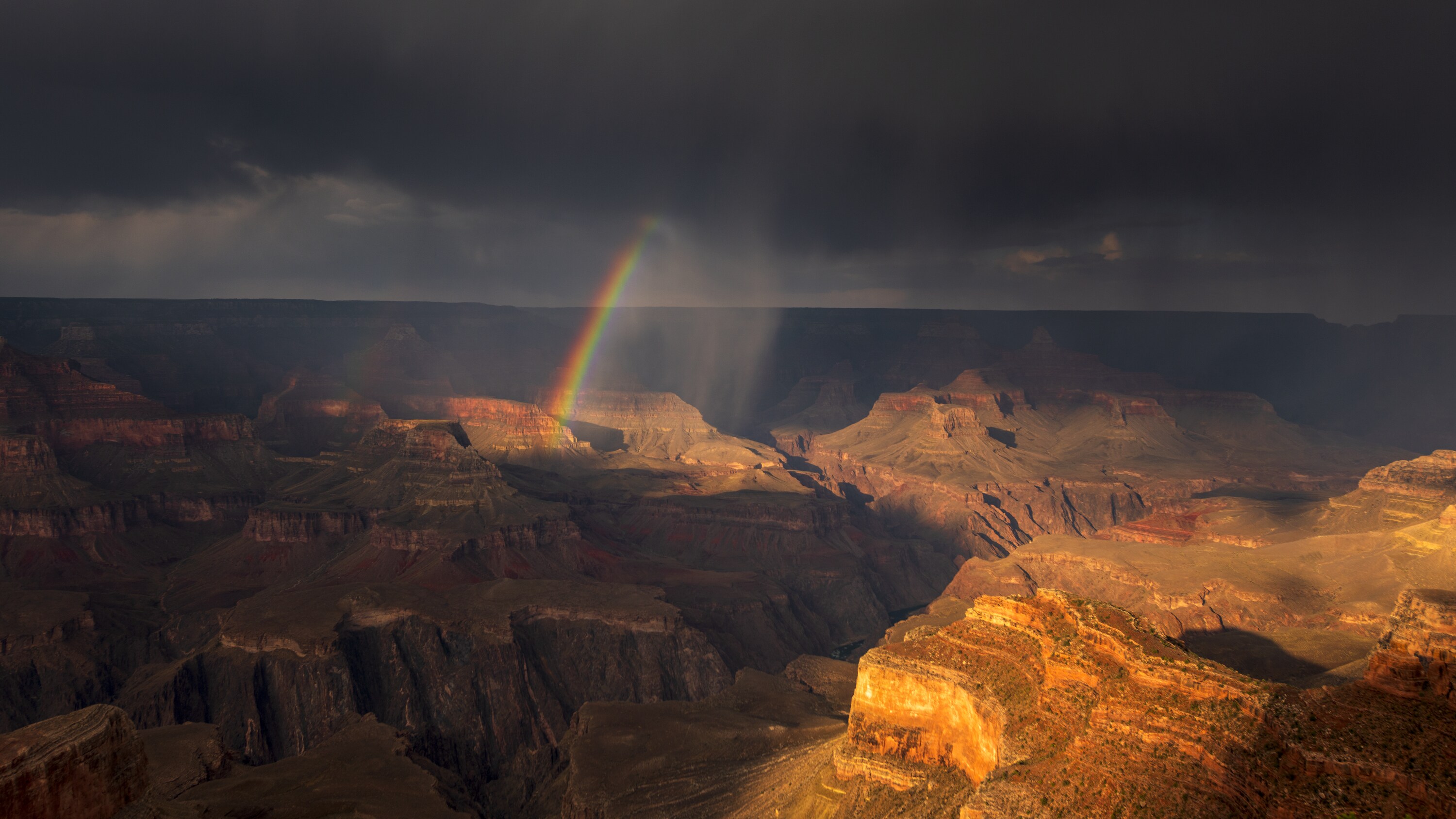 A rainbow forms above the Grand Canyon, AZ, during a monsoon storm that brings vital water to the desert. (America Films Ltd/Ty Schmitt)
