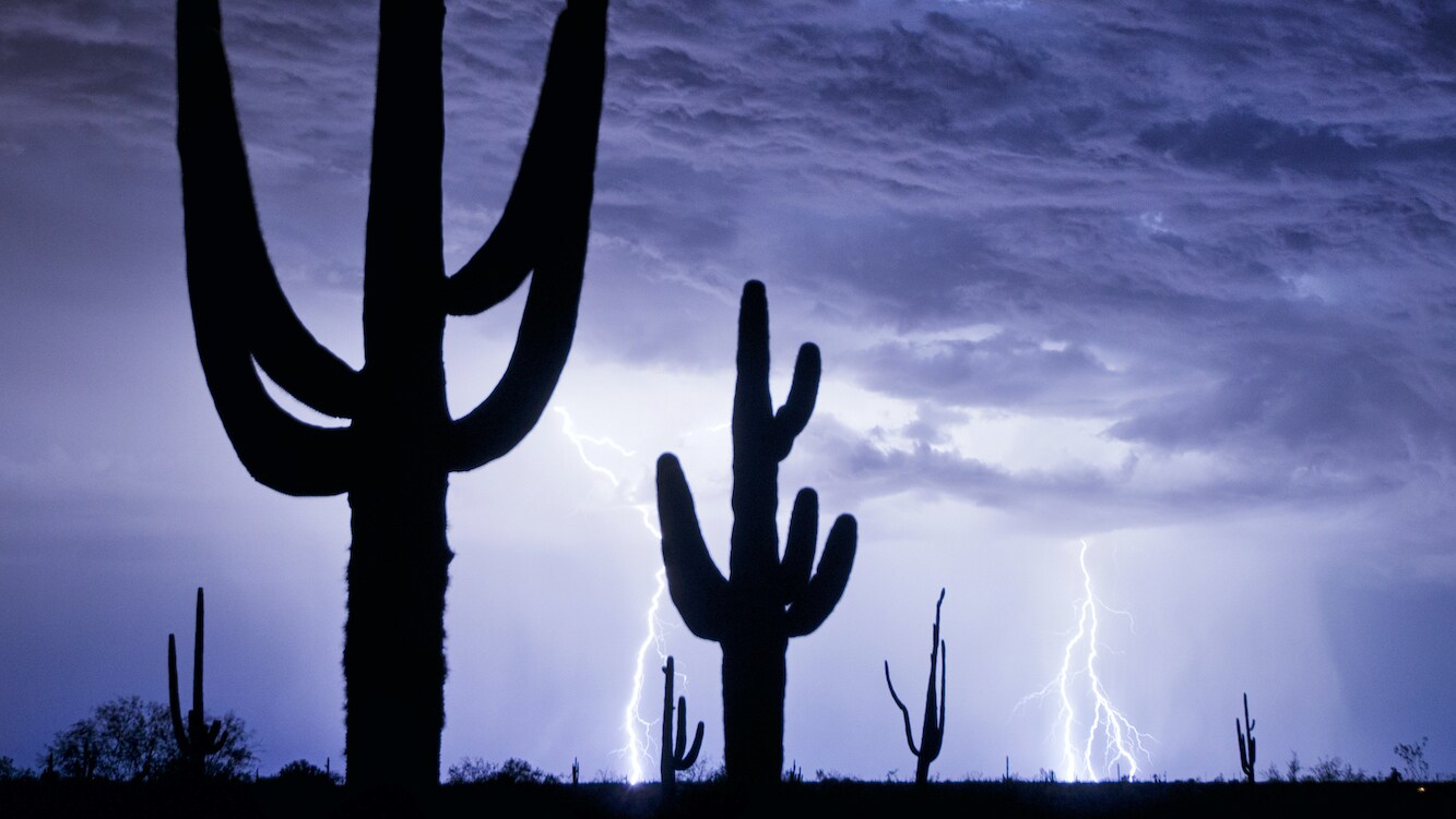 Lightning strikes during a monsoon storm bringing much needed water to the Sonoran Desert in AZ, USA. (America Films Ltd/Ty Schmitt)