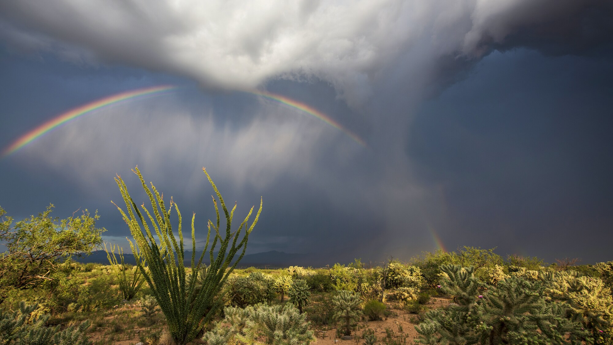A rainbow forms during a monsoon storm over the desert in Arizona.  (America Films Ltd/Ty Schmitt)