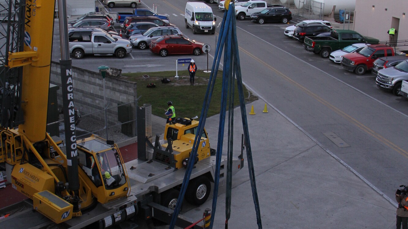 Crane prepared for lifting Lou, the West Indian manatee. Lou needs to be moved from his home at The Seas to the veterinarian treatment room to undergo a CT scan. (Disney)